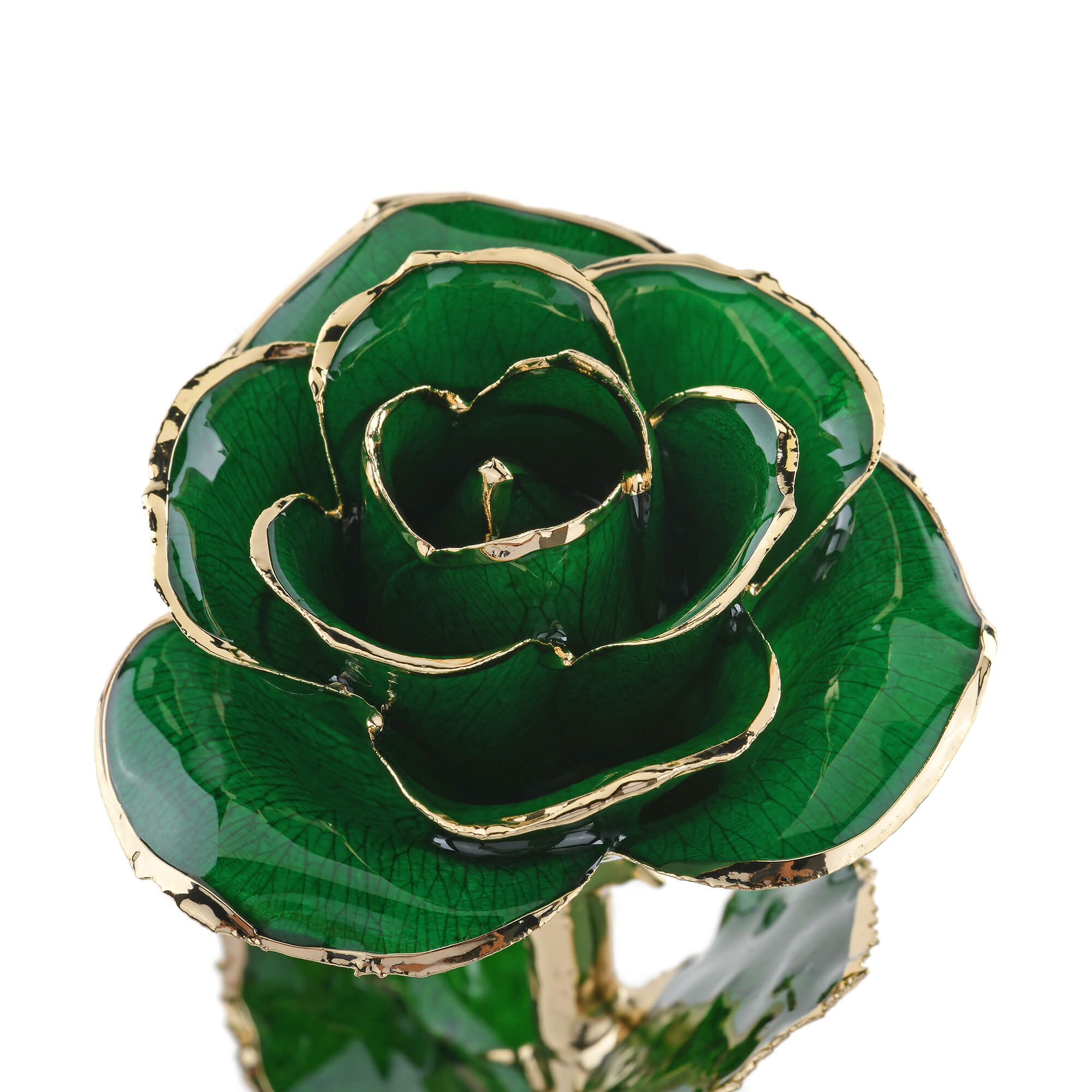 Timeless Rose (Green)-thumbmail-2