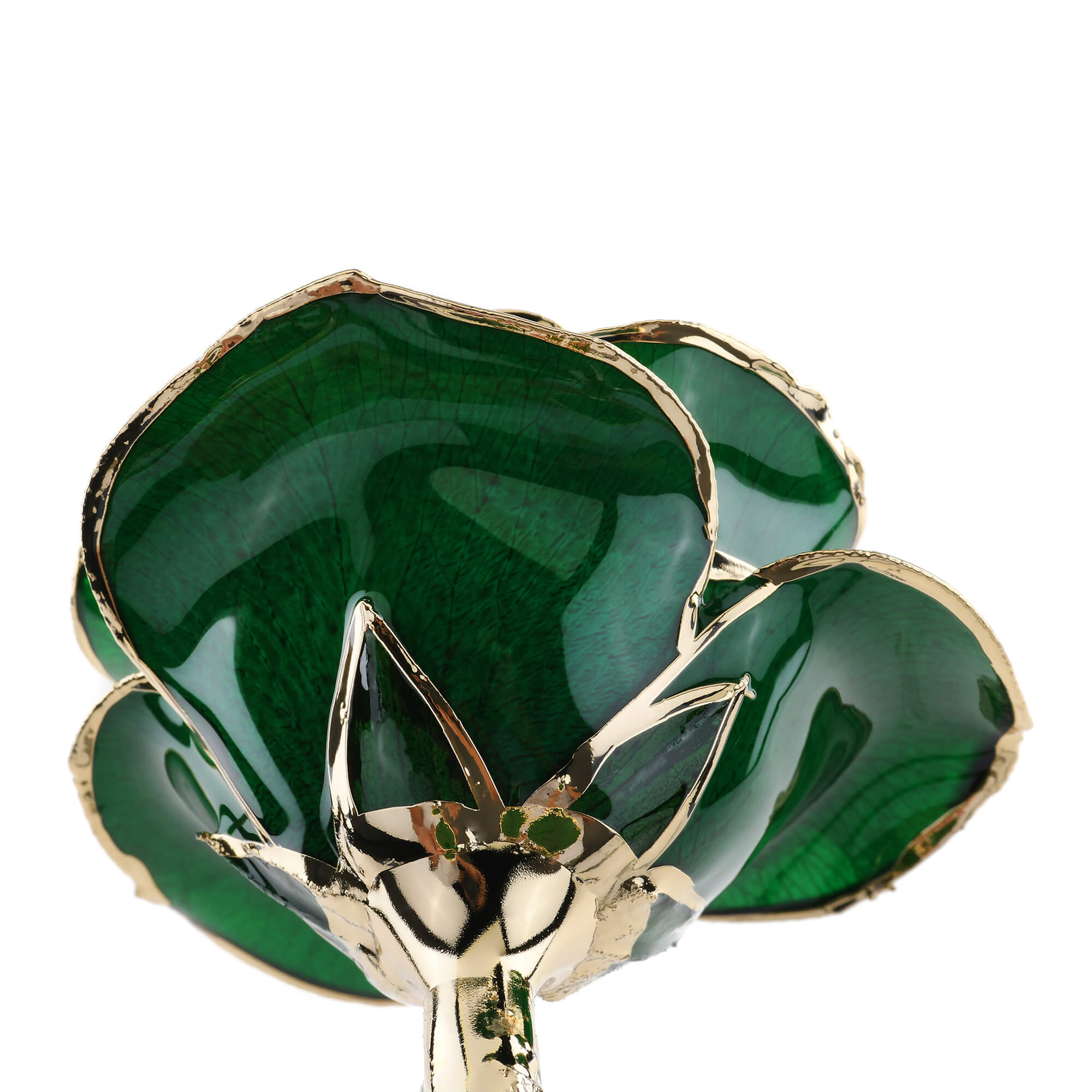 Timeless Rose (Green)-thumbmail-4