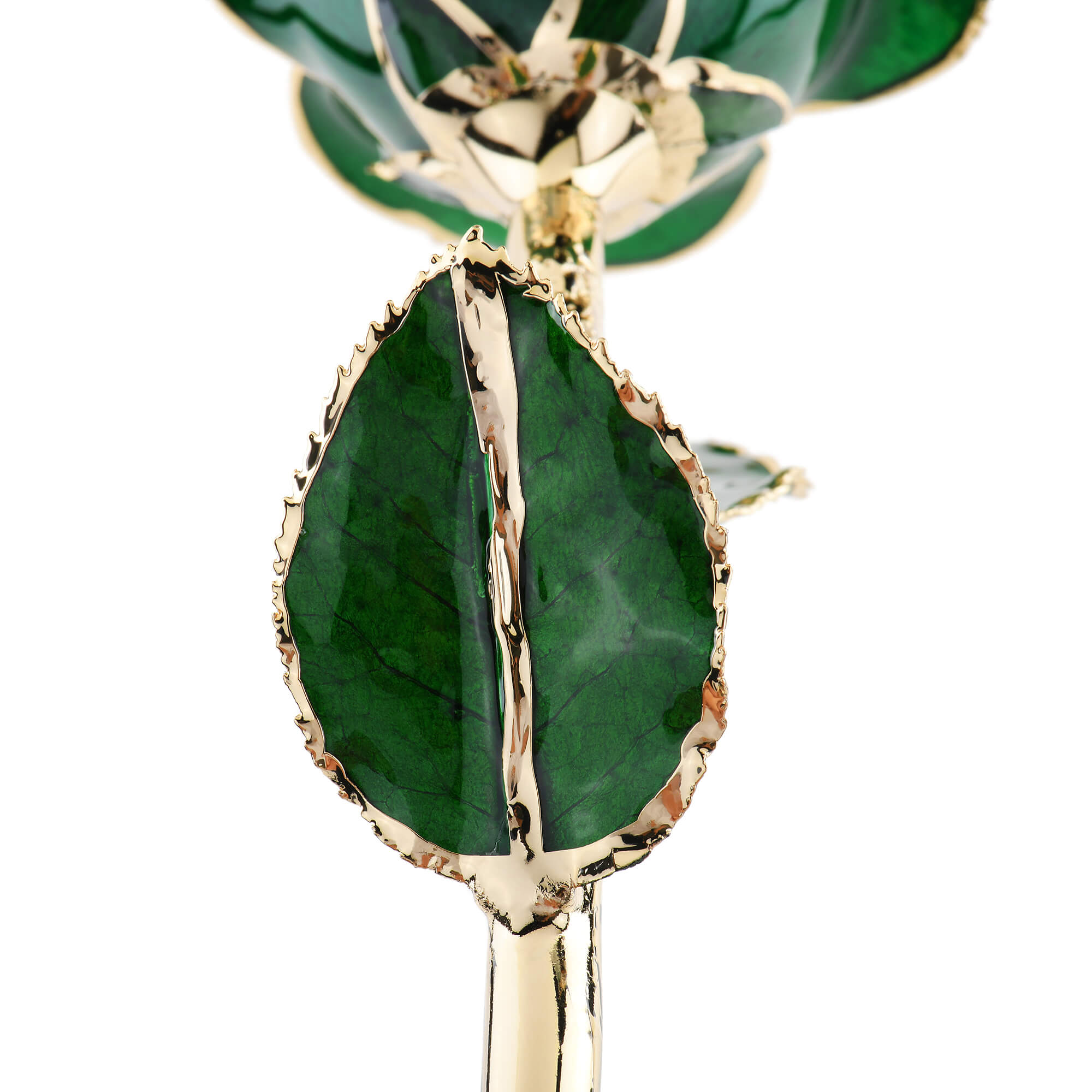 Timeless Rose (Green)-thumbmail-5