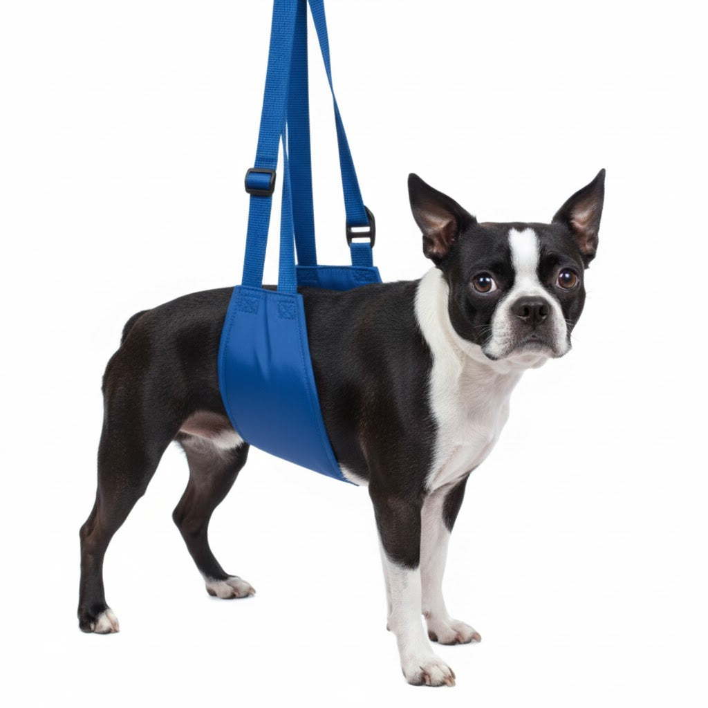 Original Quick Lift Small-XL-thumbmail-7