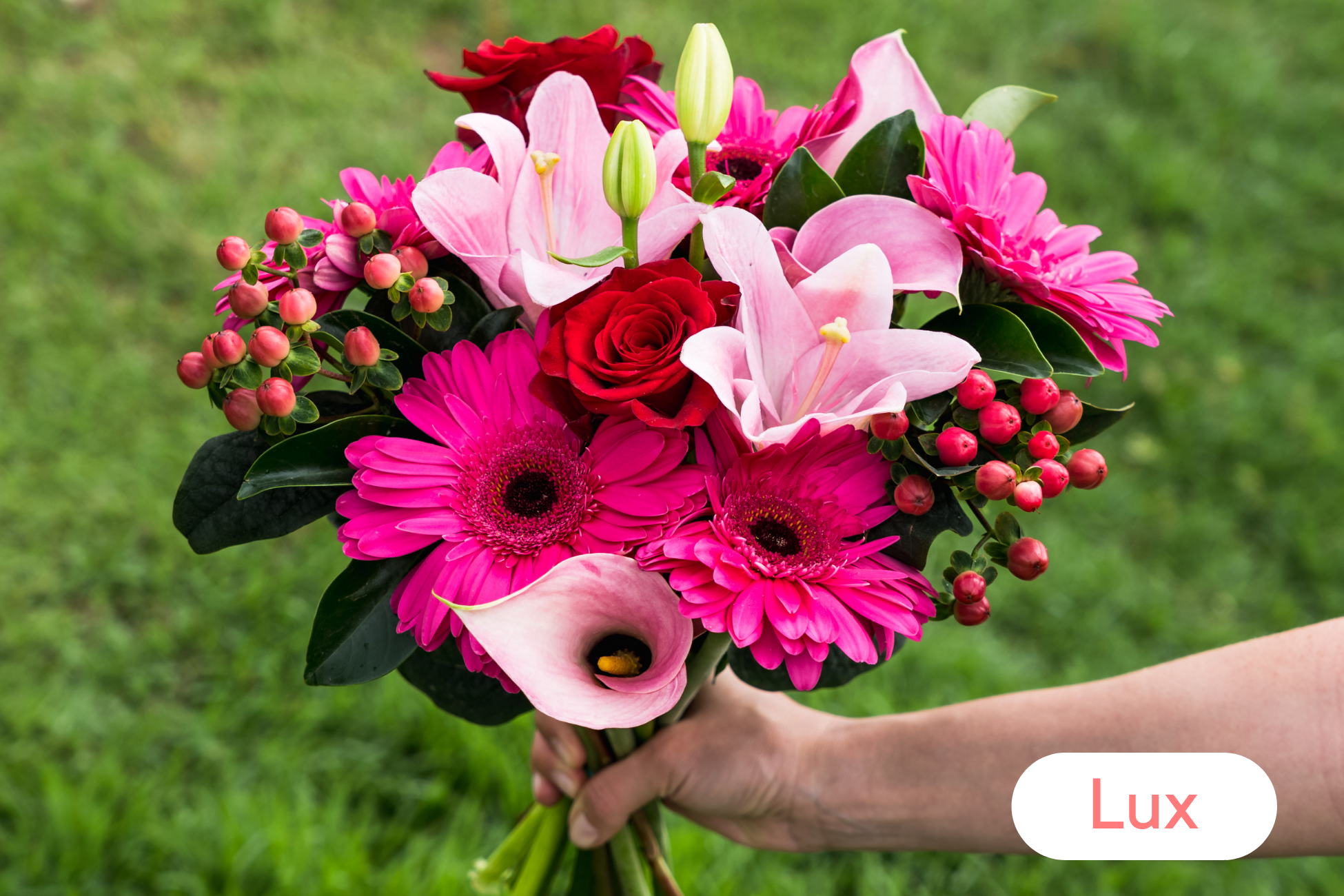 2 Month Lux Gift Subscription (Pre-Paid) - FREE Shipping!-thumbmail-2