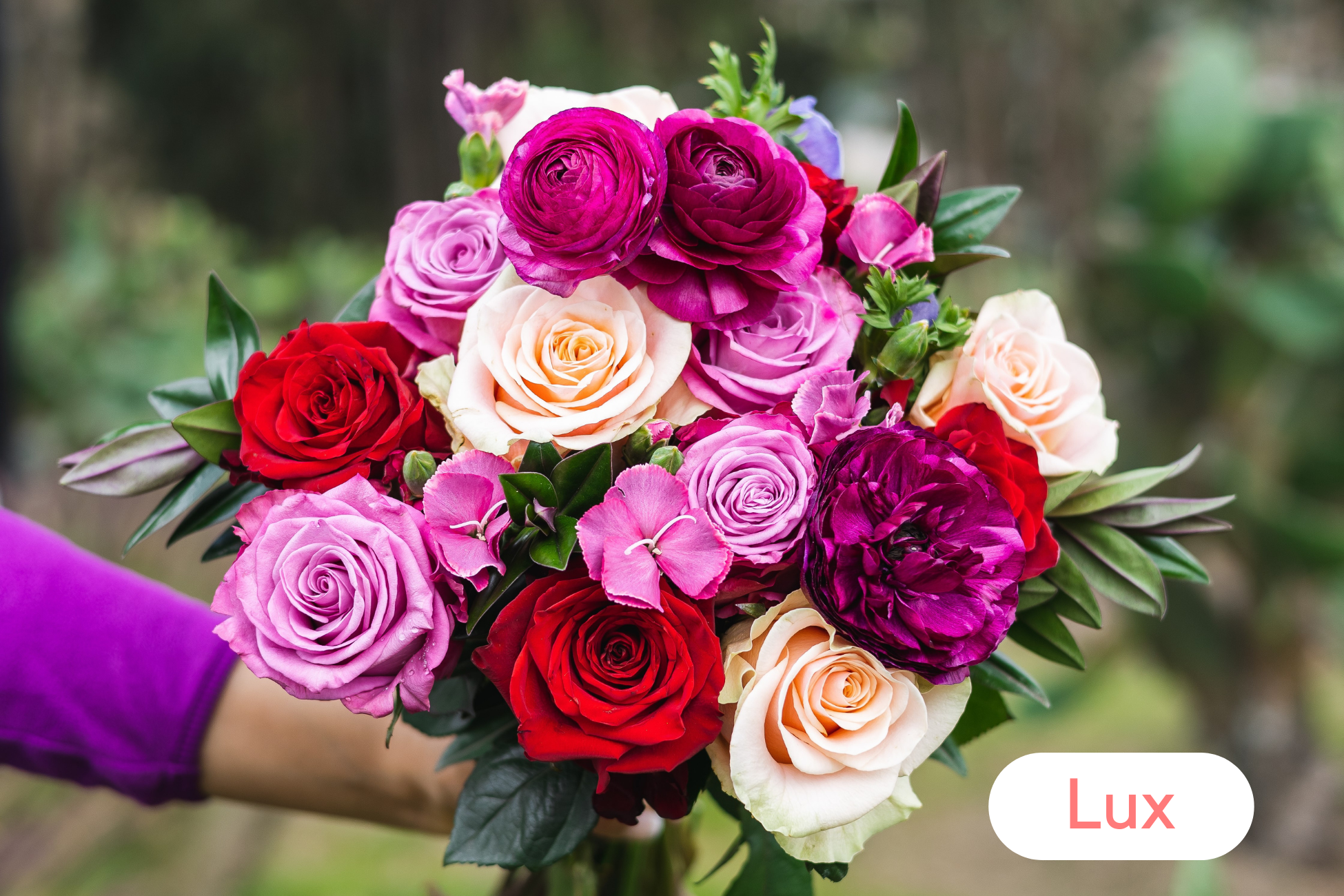 3 Month Lux Pre-Paid Gift Subscription - FREE Shipping!-thumbmail-2