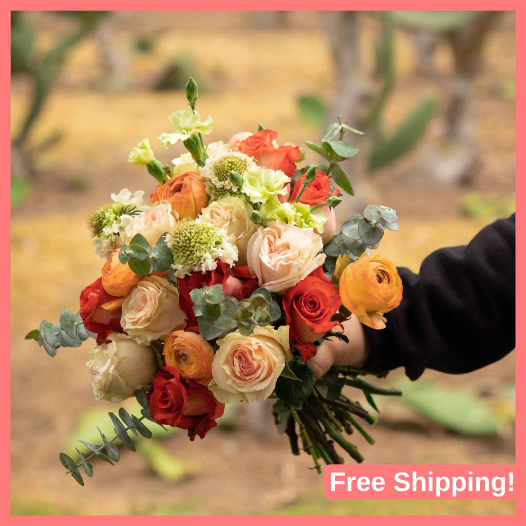 Holiday Gift Subscription 2025 - 3 Months-thumbmail-1