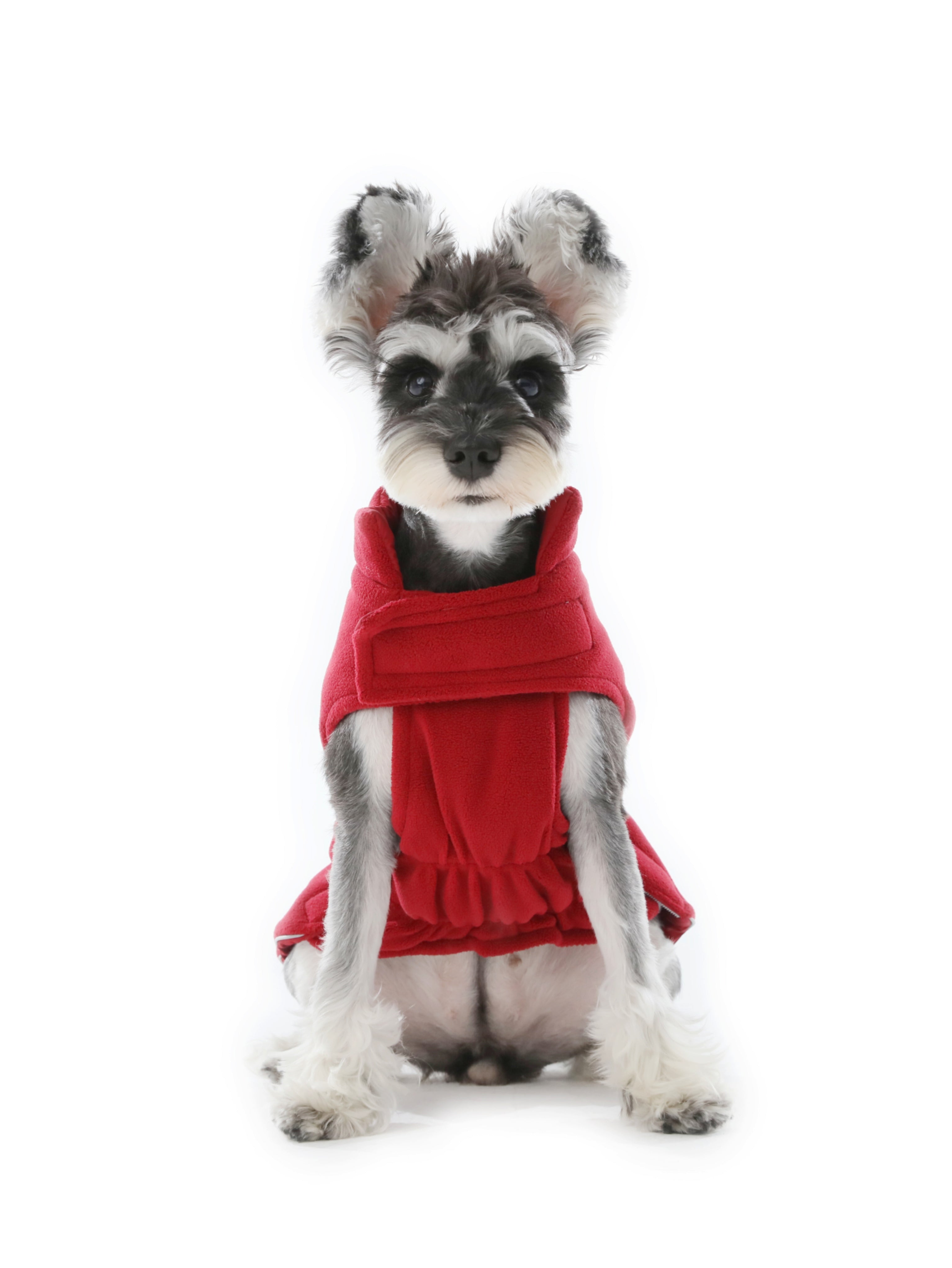 Reversible Dog Vest Jacket - Red-thumbmail-7