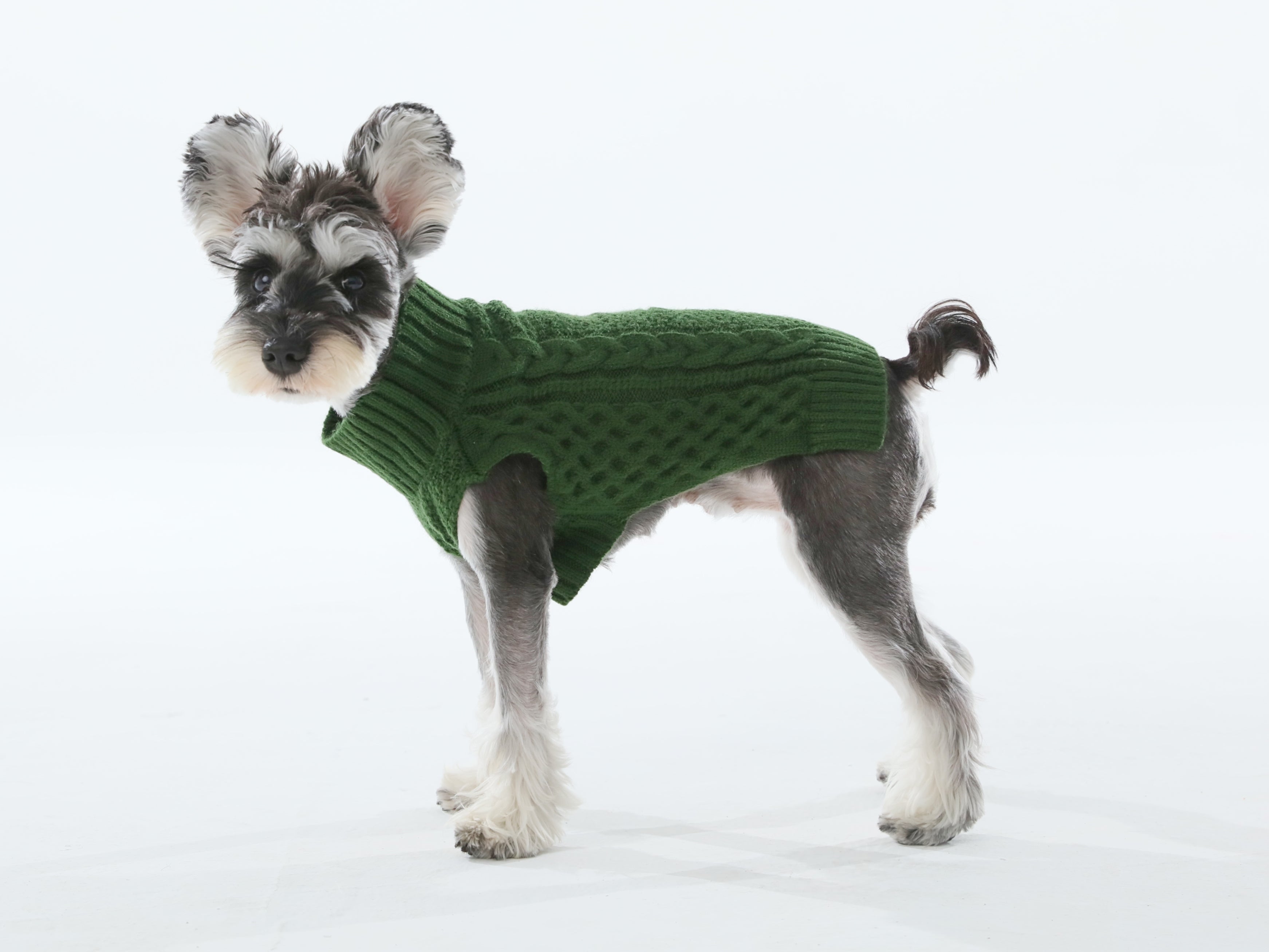 Pet Sweater Vest - Green-thumbmail-4