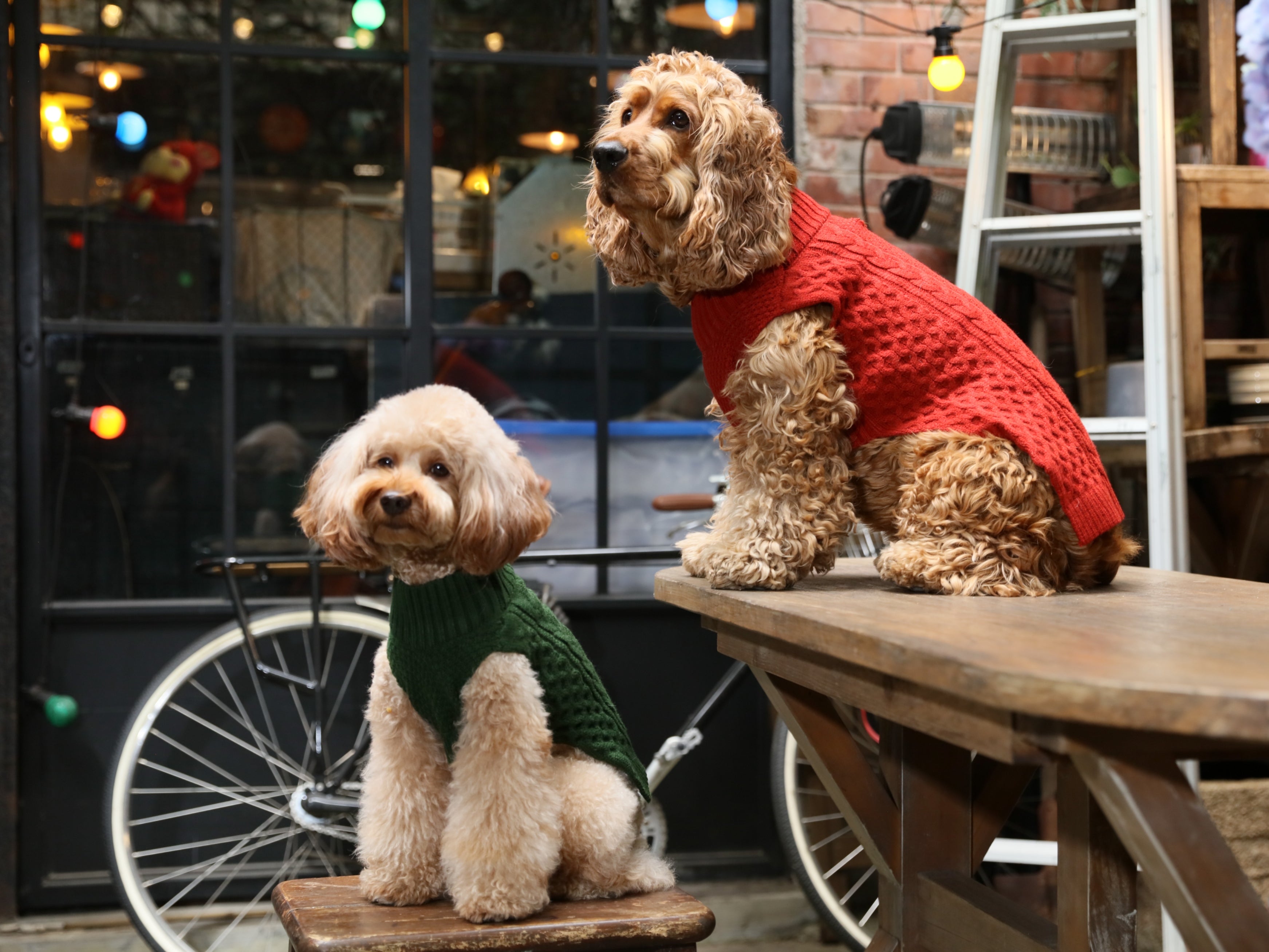Pet Sweater Vest - Green-thumbmail-9