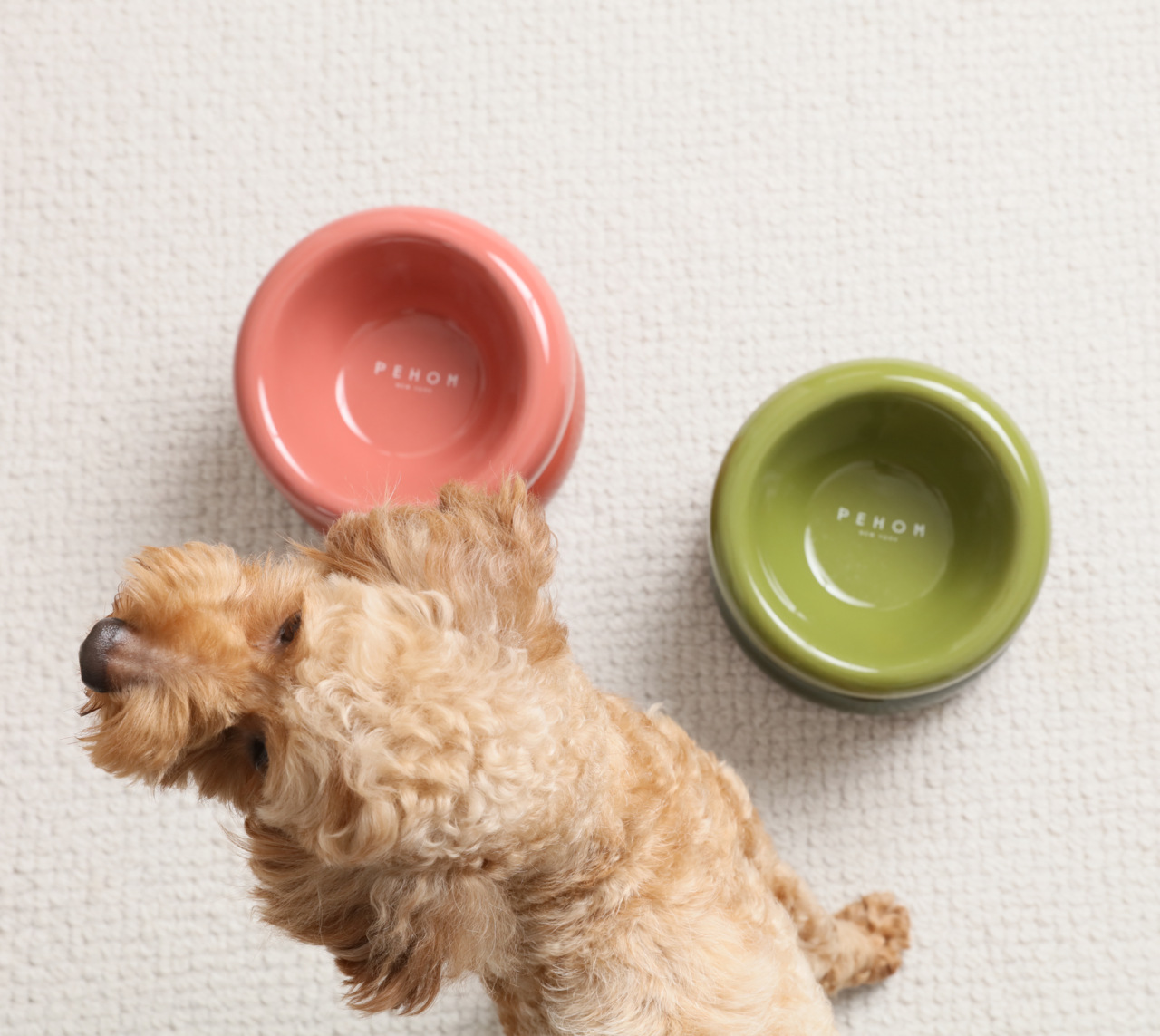 Soufflé Pet Bowl - Rose Pink-thumbmail-7