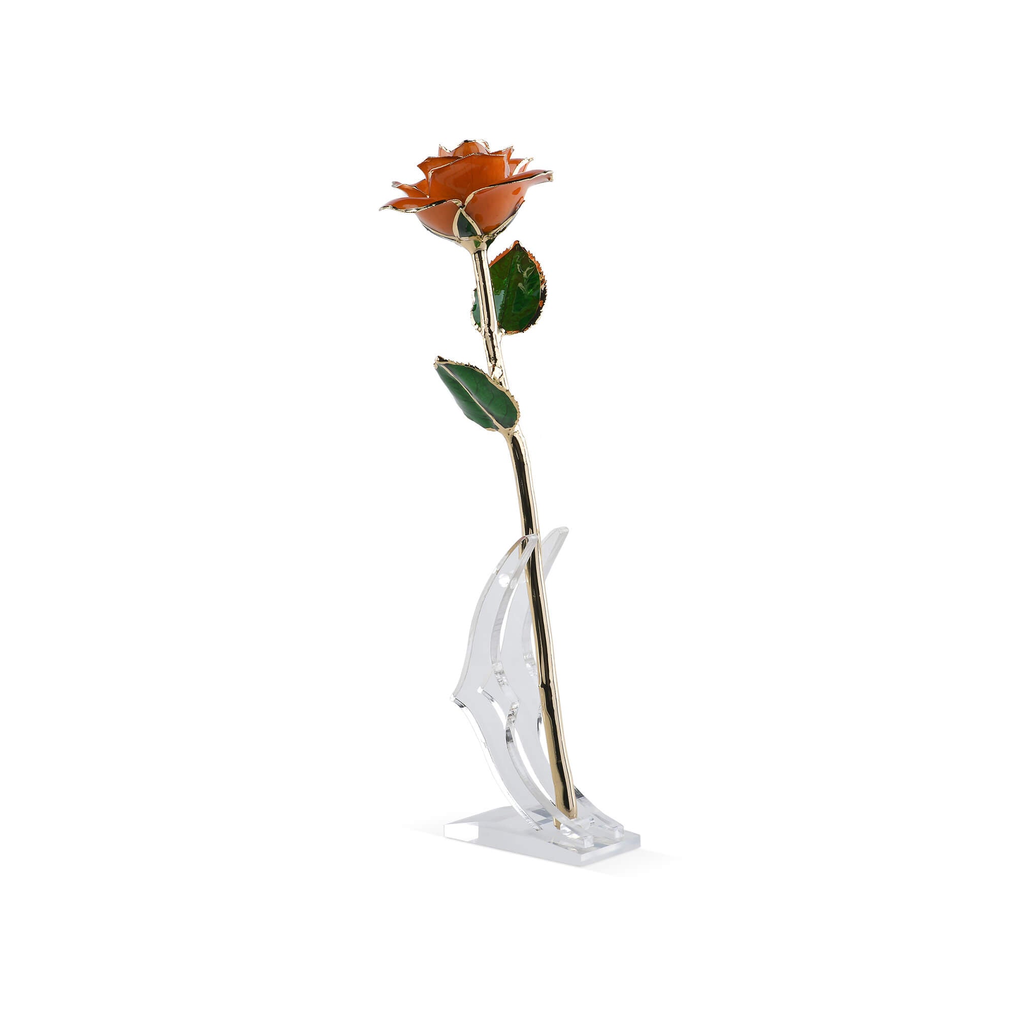 Timeless Rose (Orange)-thumbmail-3