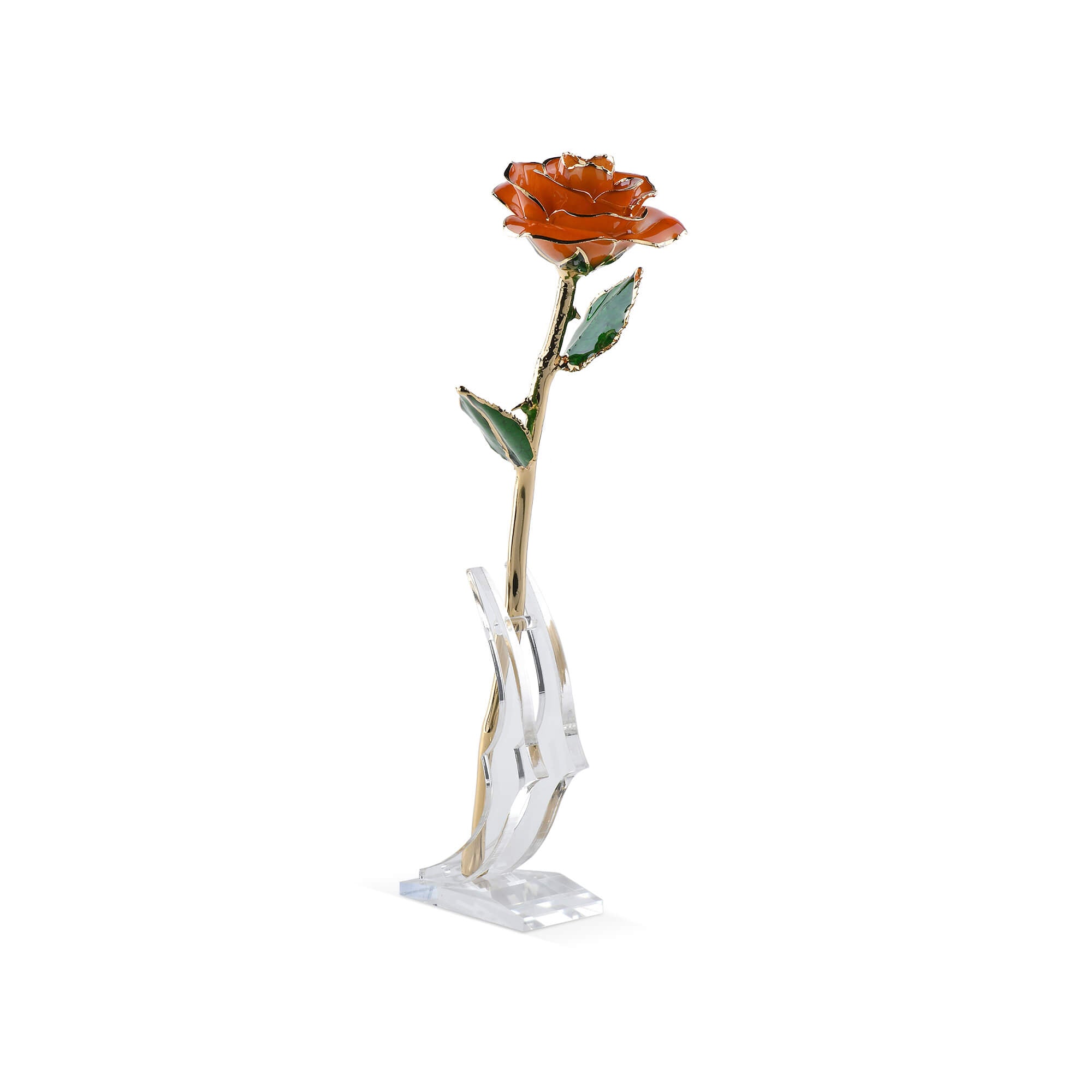 Timeless Rose (Orange)-thumbmail-4