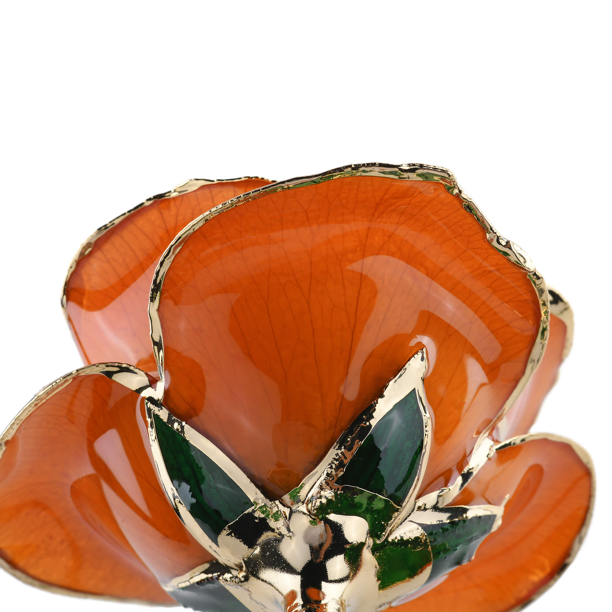 Timeless Rose (Orange)-thumbmail-2