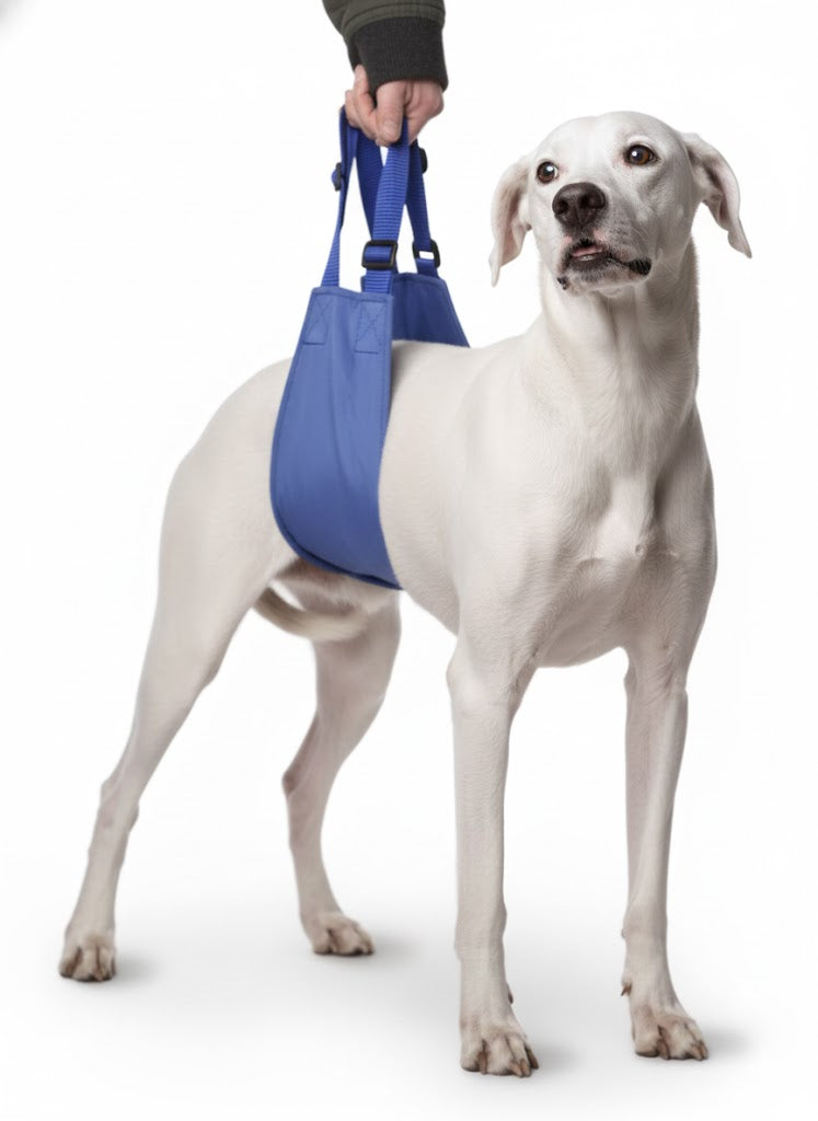 Original Quick Lift Small-XL-thumbmail-3