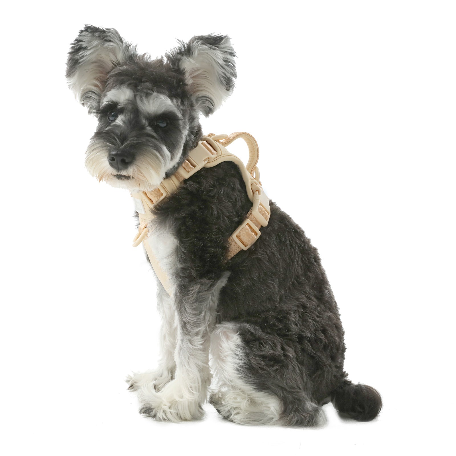 NO PULL ACTIVE  PET HARNESS - APRICOT-thumbmail-2