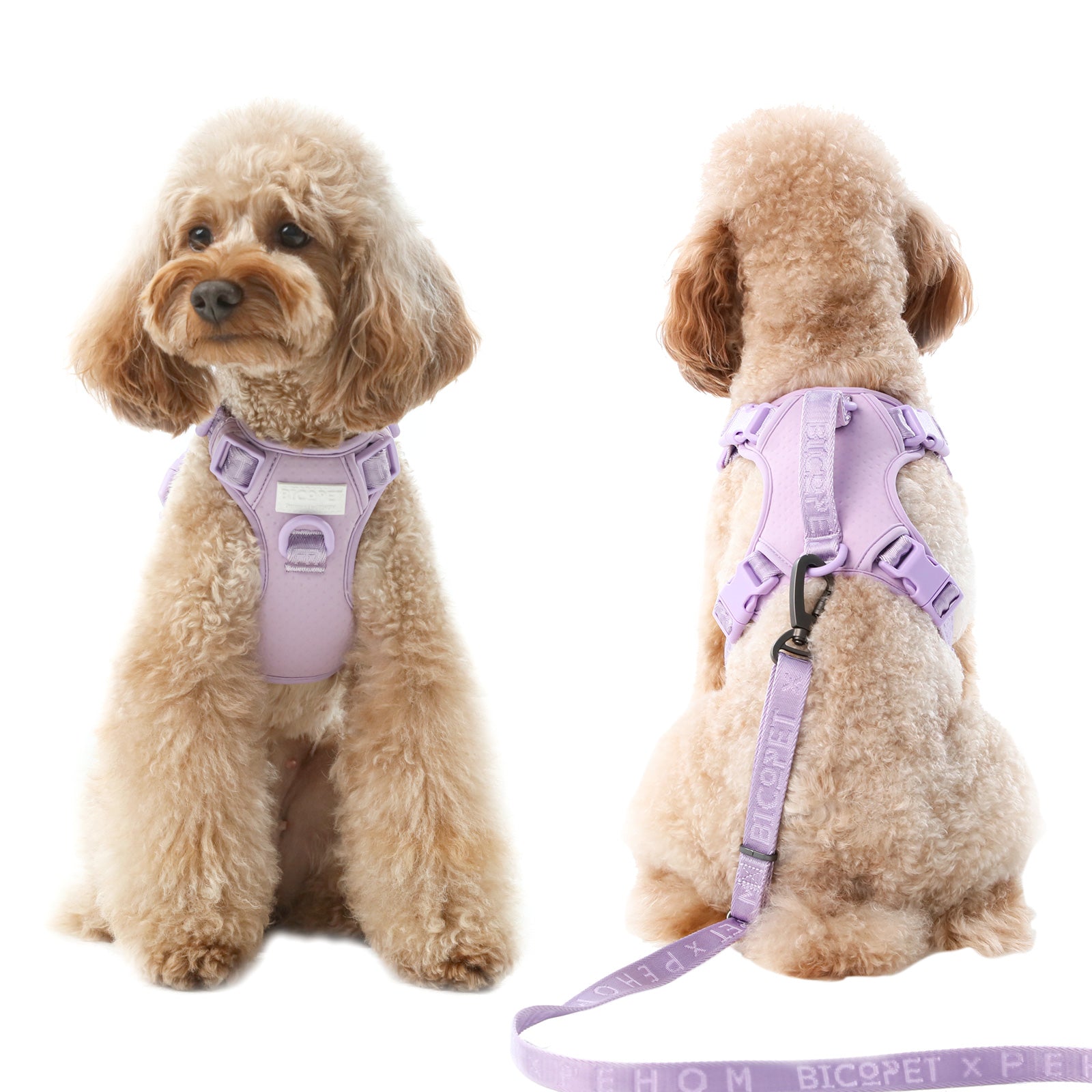 NO PULL ACTIVE  PET HARNESS - MINT PURPLE-thumbmail-5