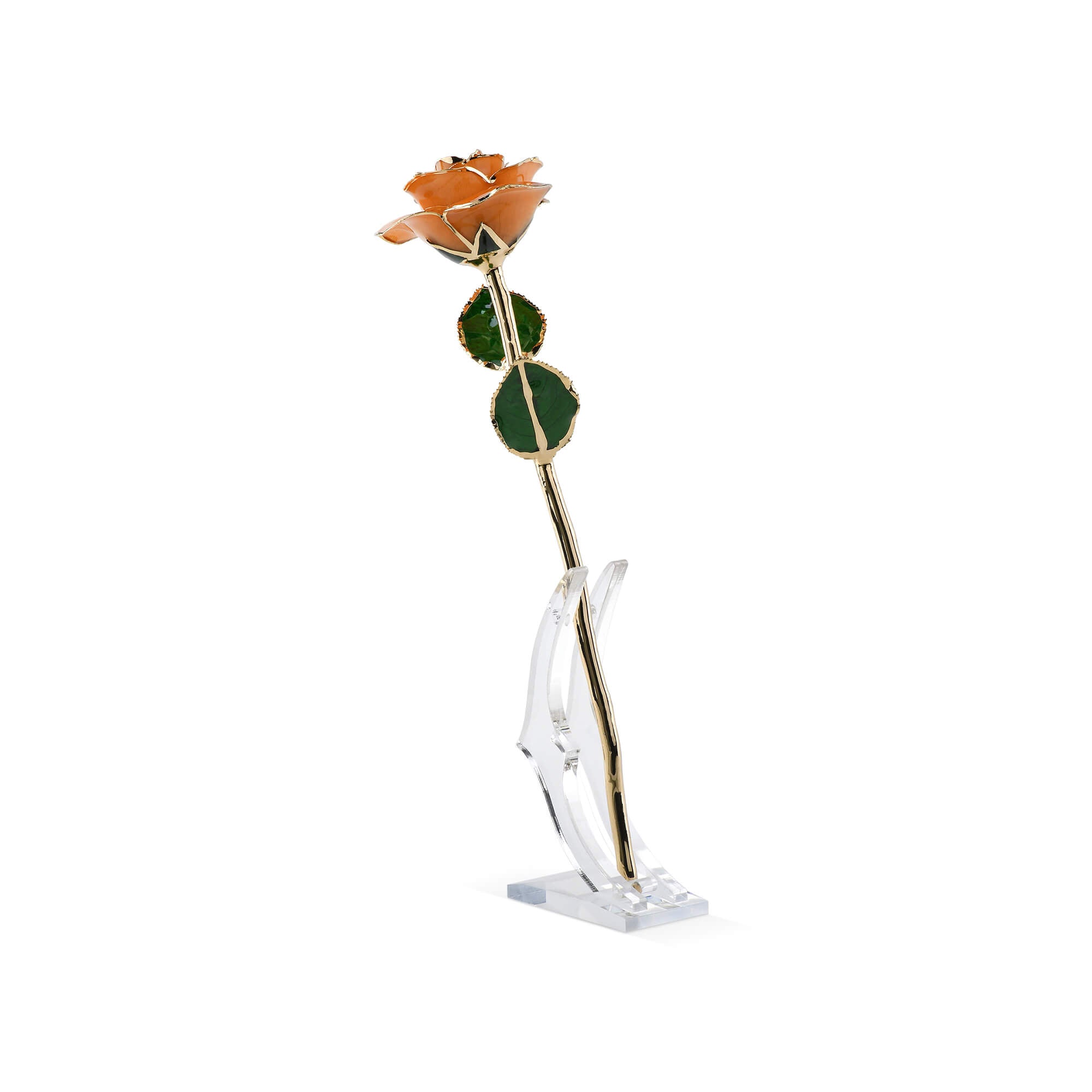 Timeless Rose (Pear)-thumbmail-3