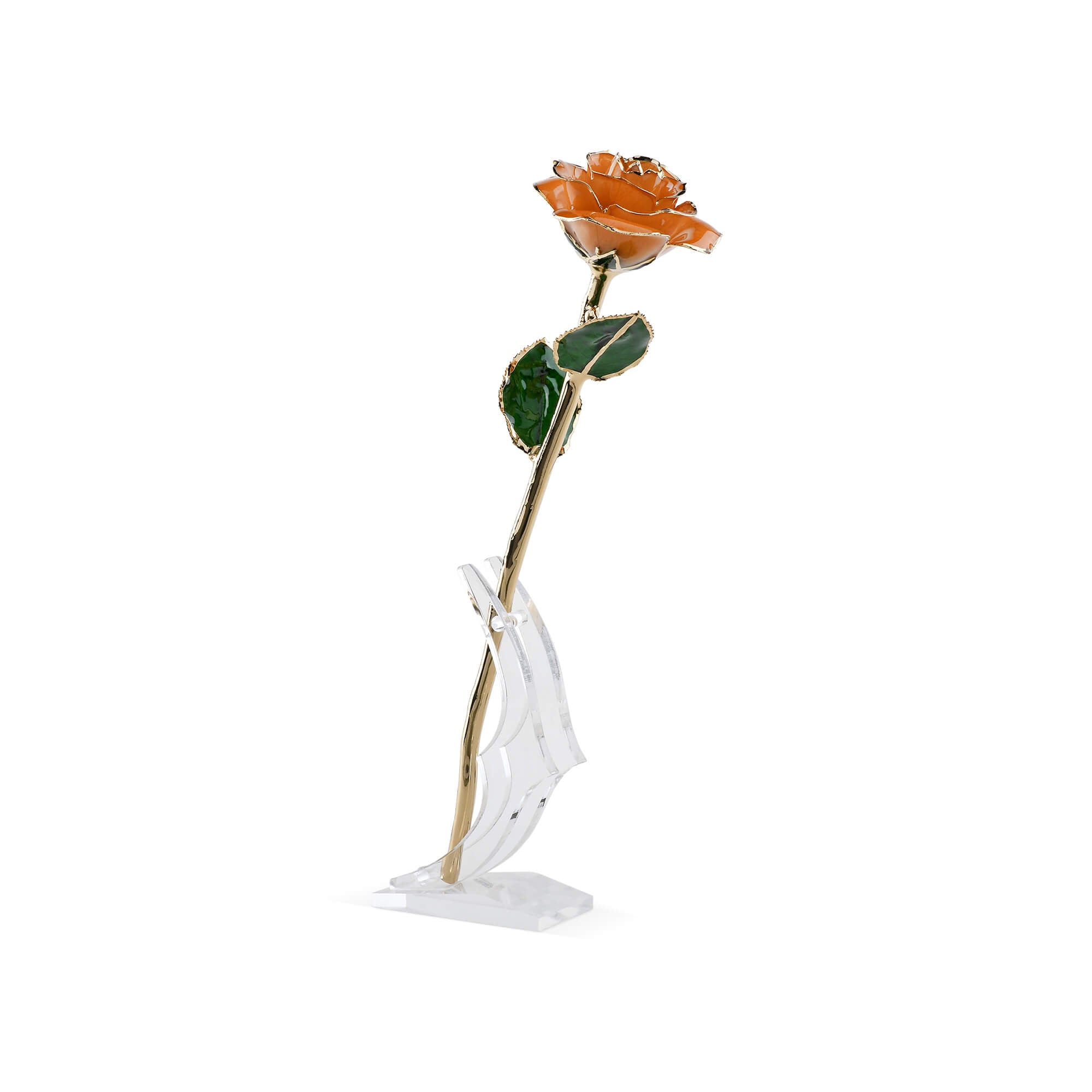 Timeless Rose (Pear)-thumbmail-4