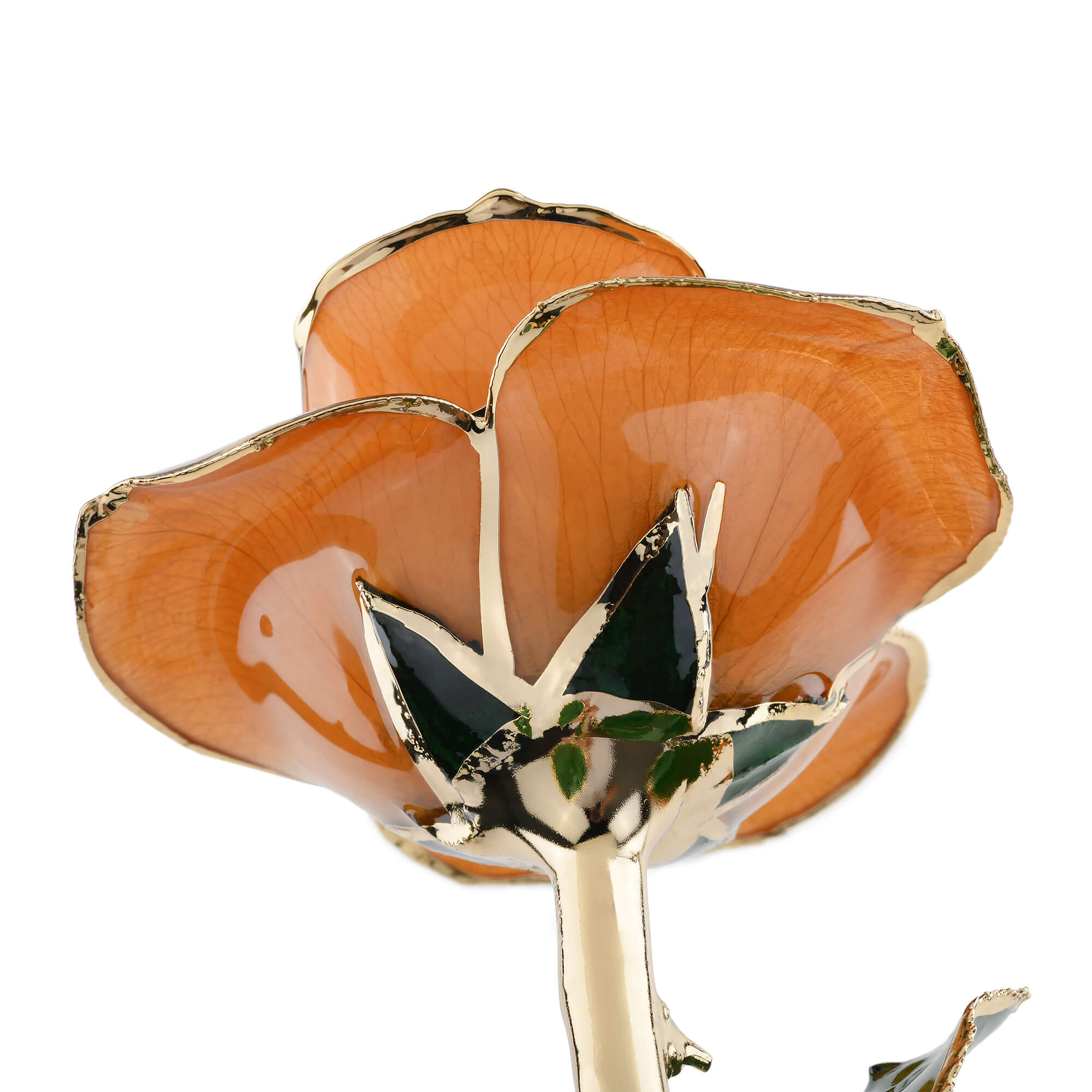 Timeless Rose (Pear)-thumbmail-1