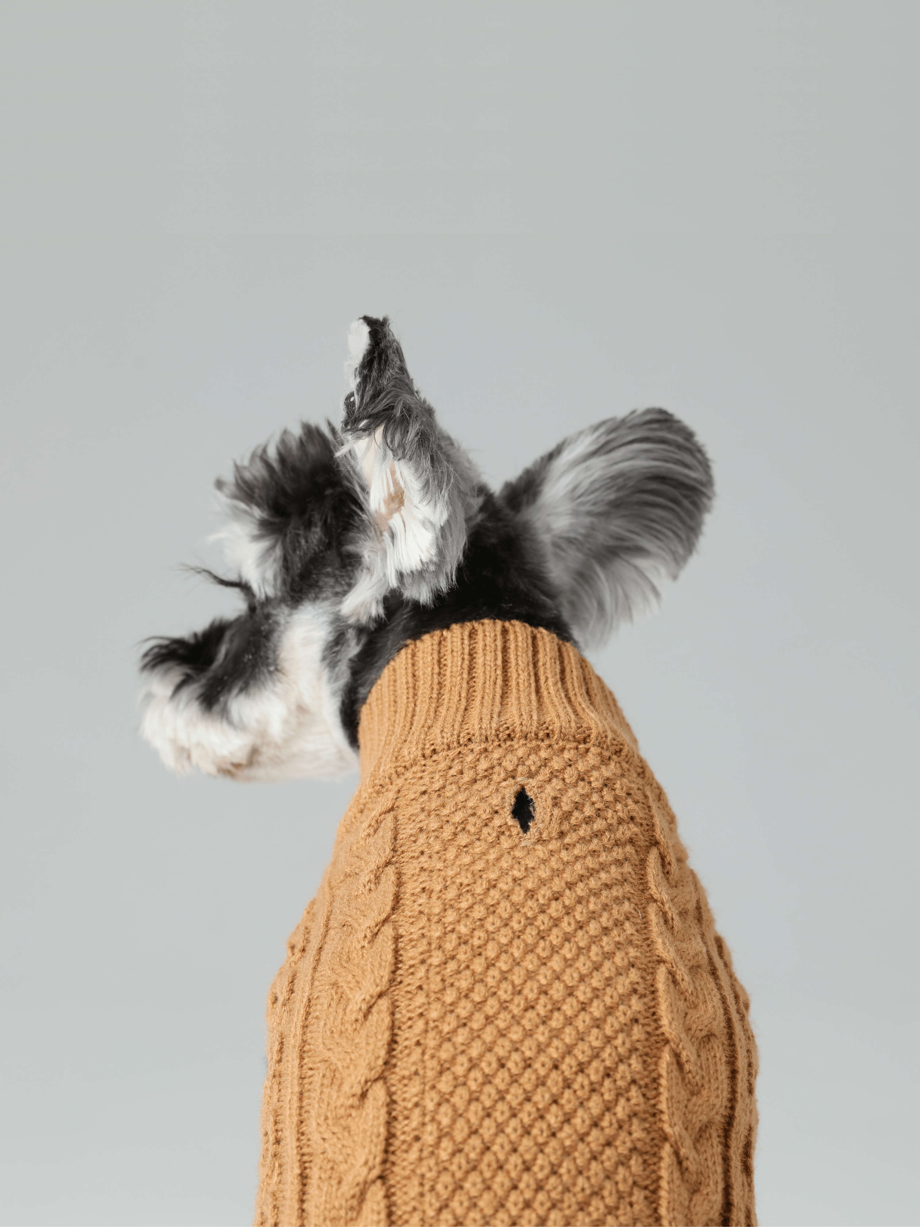 Pet Sweater Vest - Toffee Orange-thumbmail-3