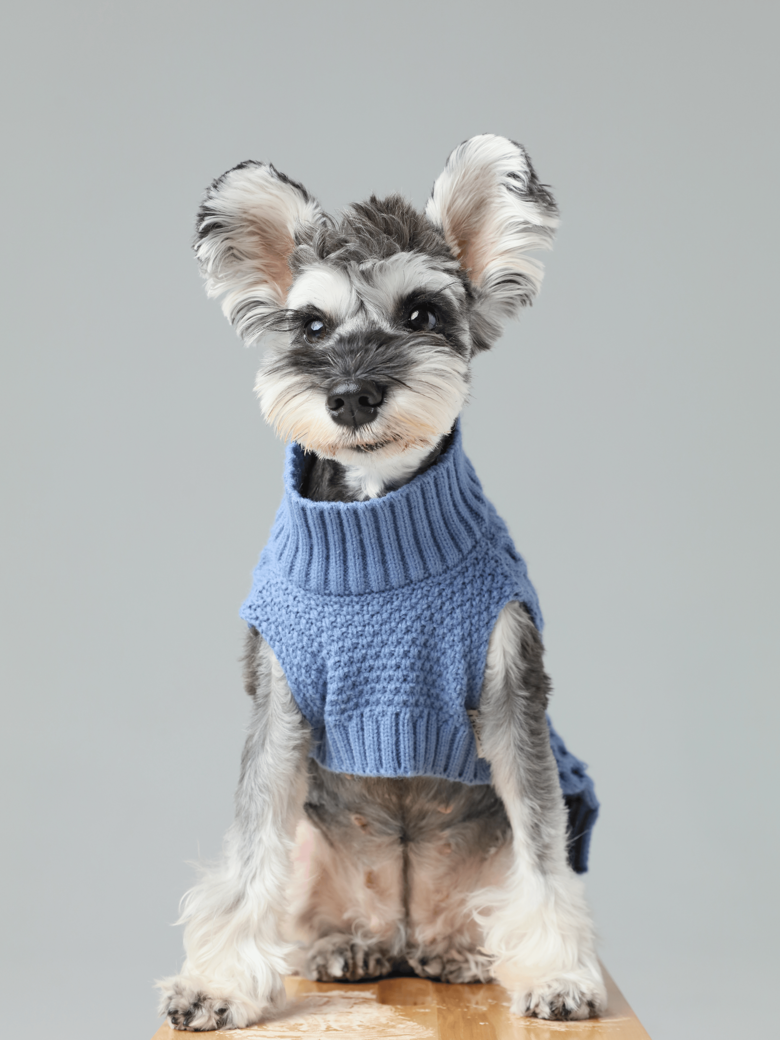 Pet Sweater Vest - Ice Blue-thumbmail-6