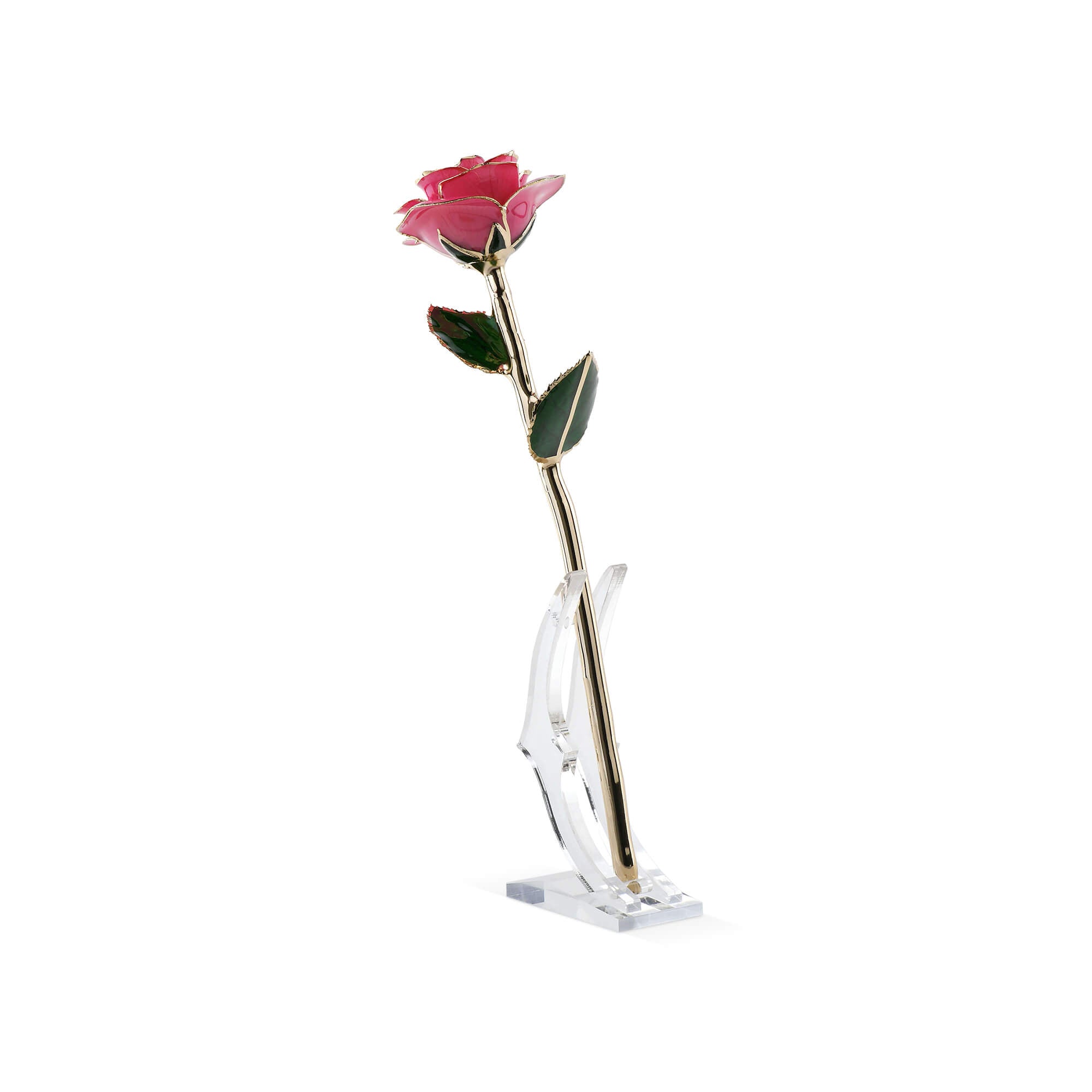 Timeless Rose (Pink)-thumbmail-5