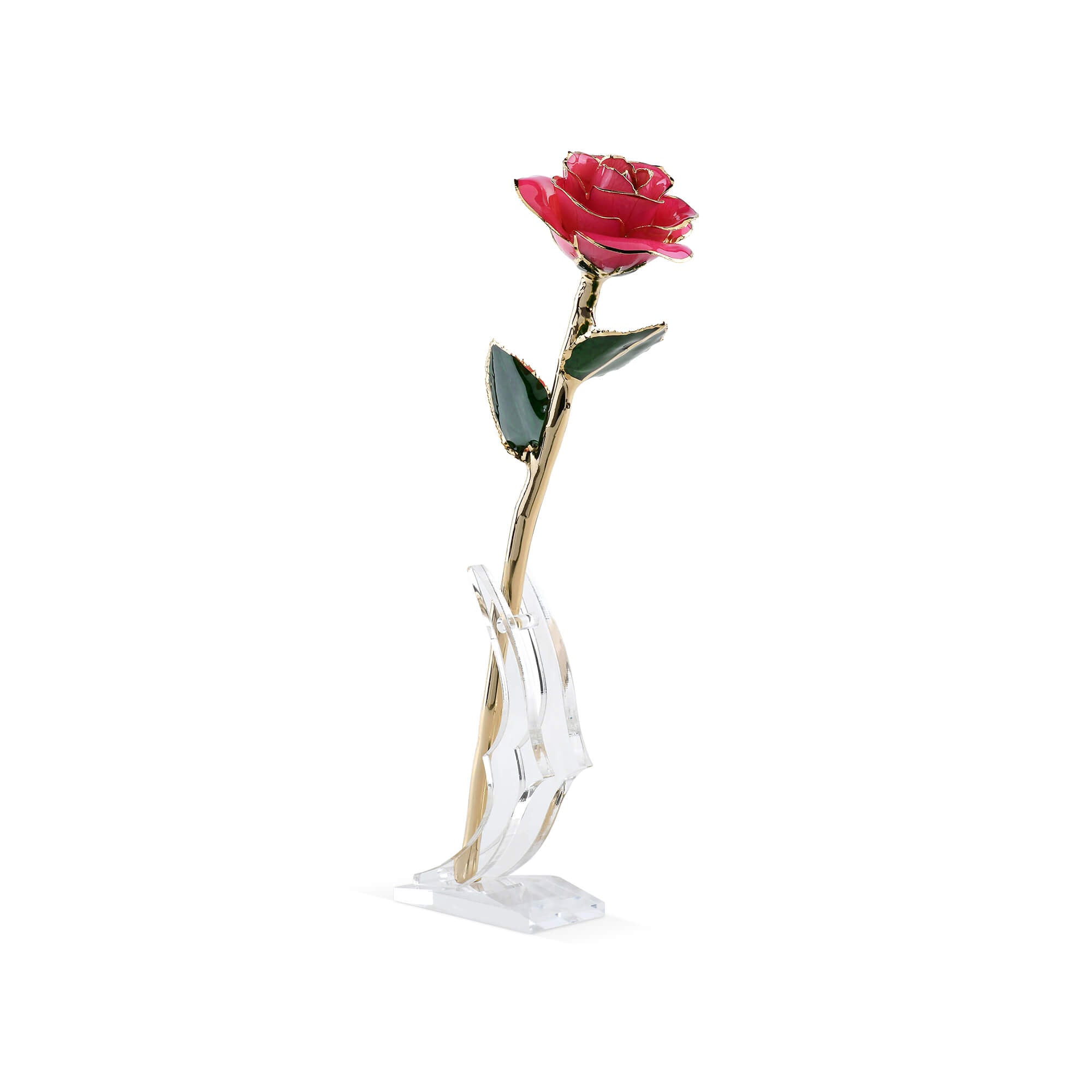 Timeless Rose (Pink)-thumbmail-1