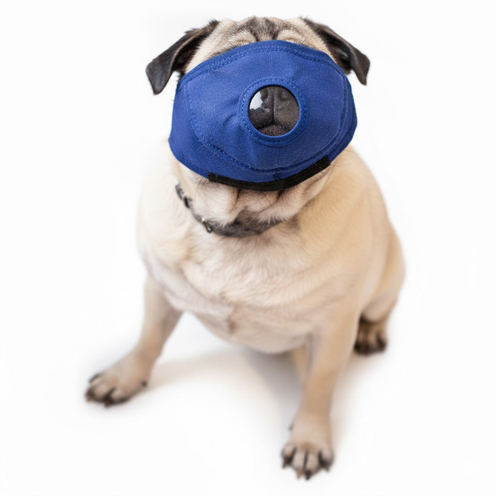Pug Snout Quick Muzzle Small-Large-thumbmail-4