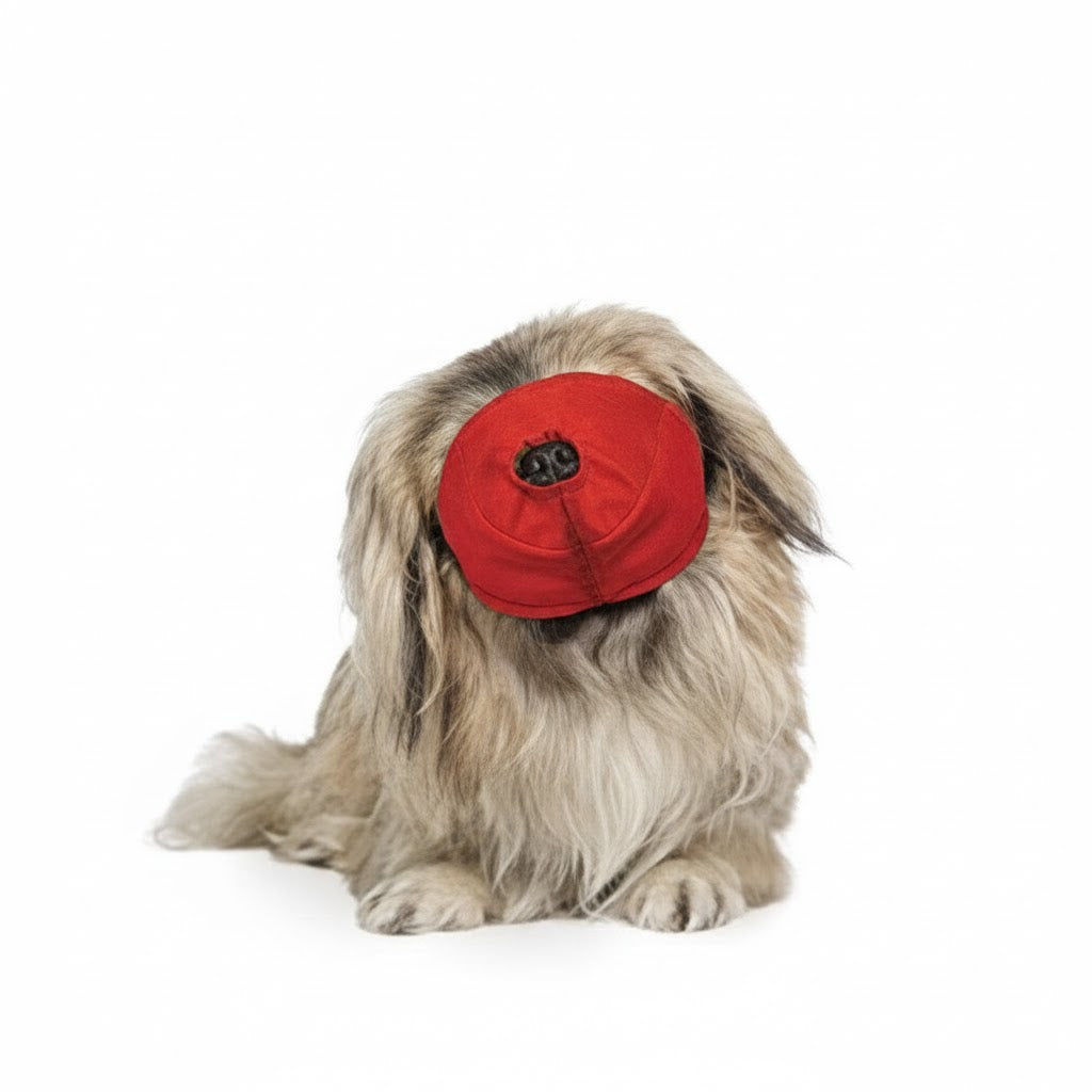 Pug Snout Quick Muzzle Small-Large-thumbmail-2