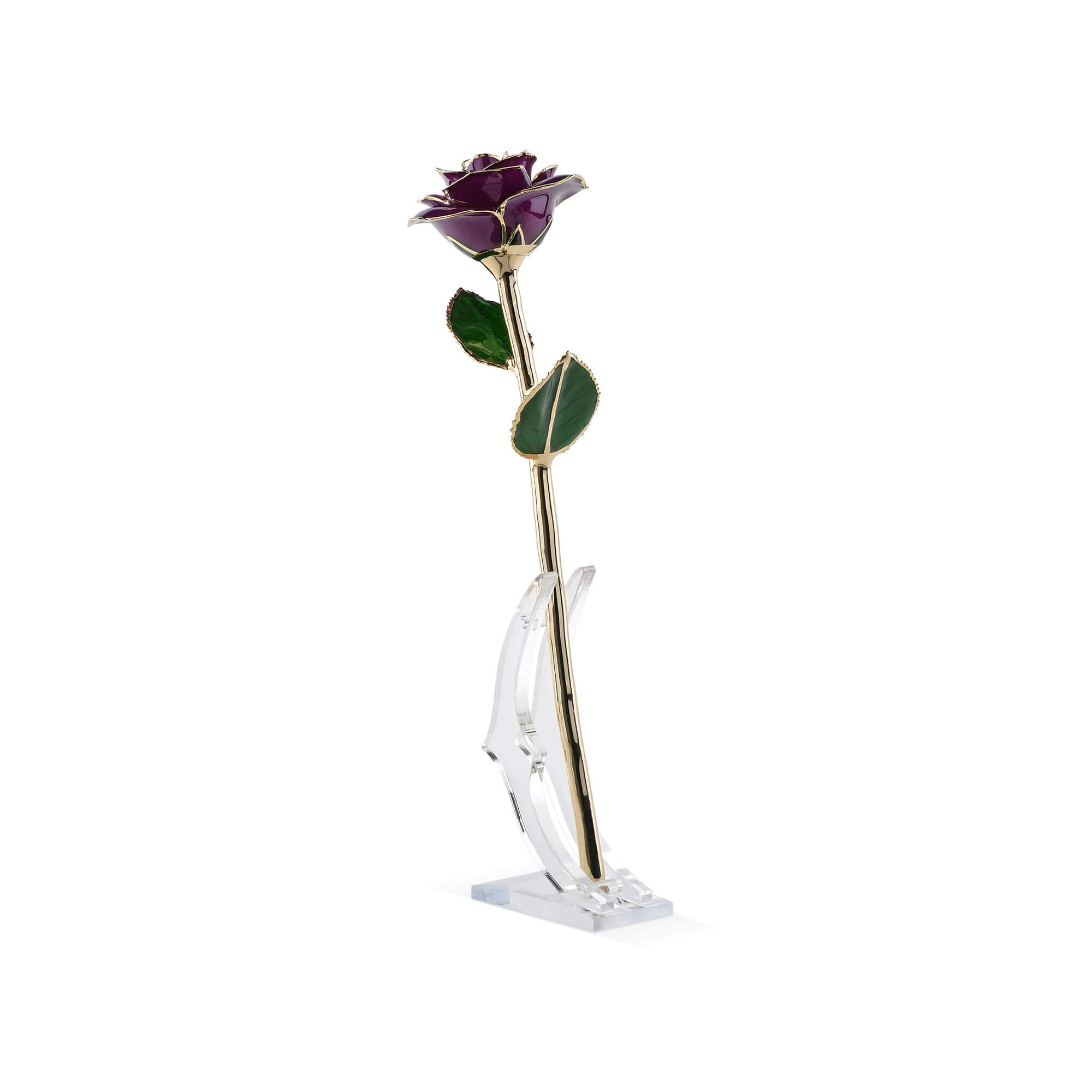 Timeless Rose (Purple)-thumbmail-1