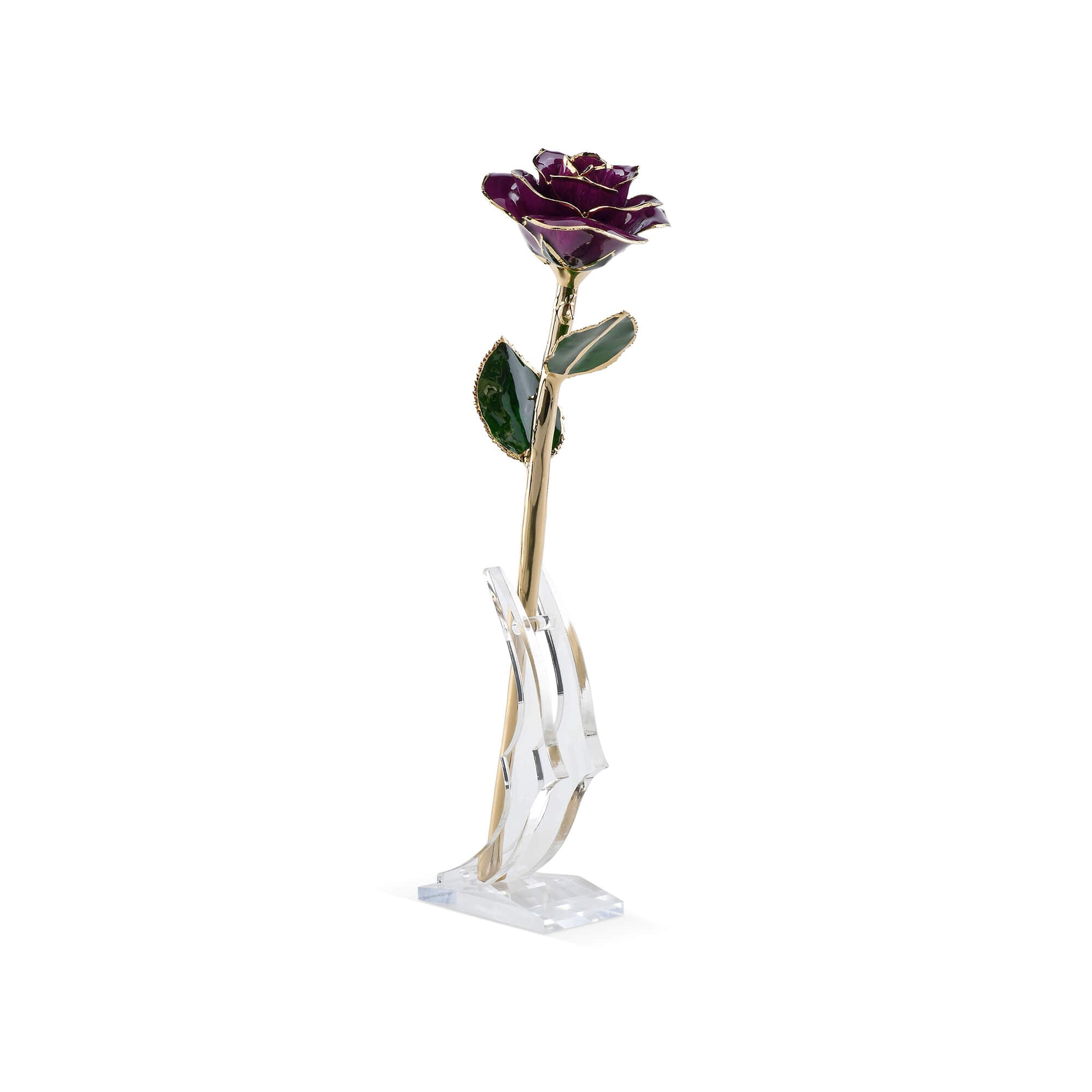 Timeless Rose (Purple)-thumbmail-2