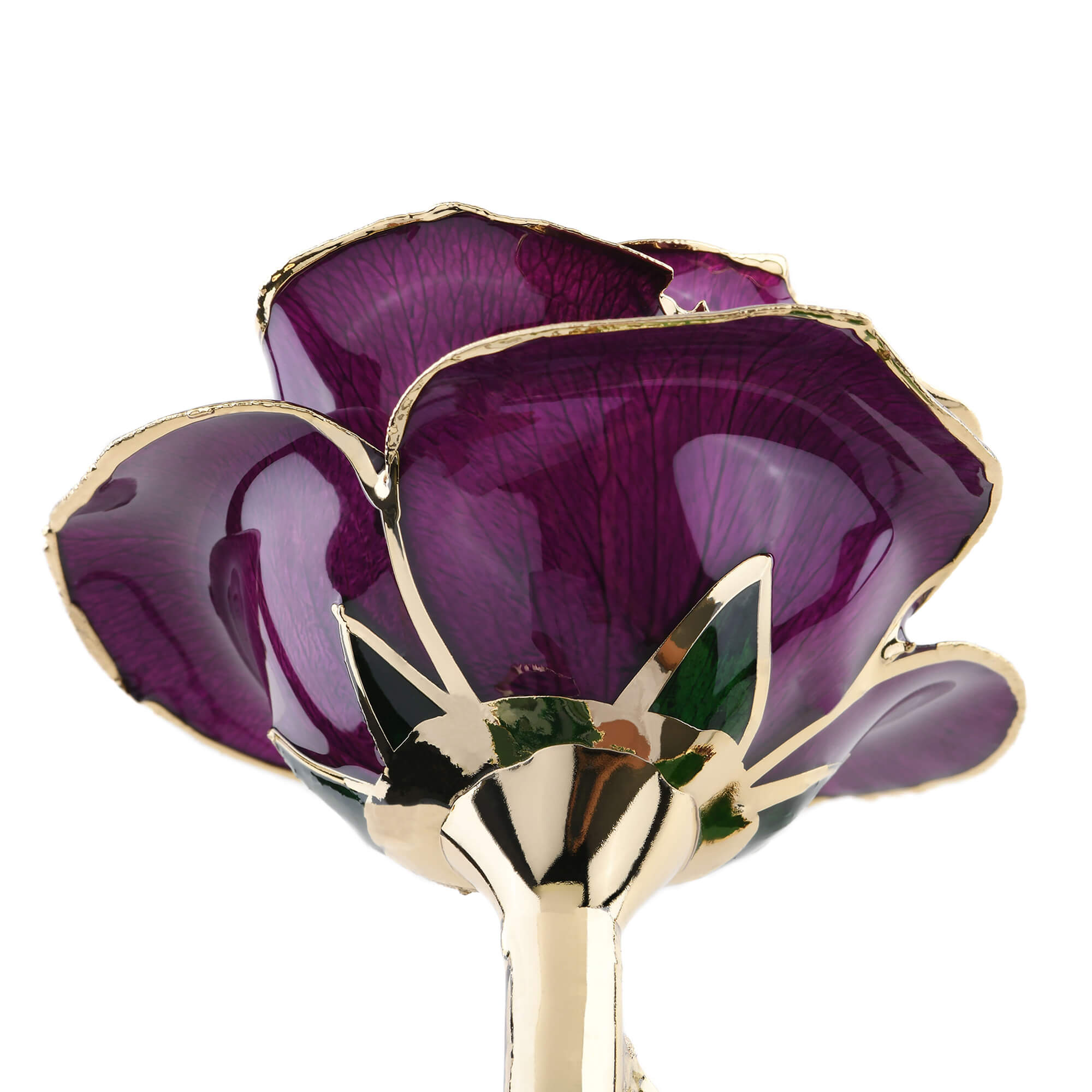 Timeless Rose (Purple)-thumbmail-4
