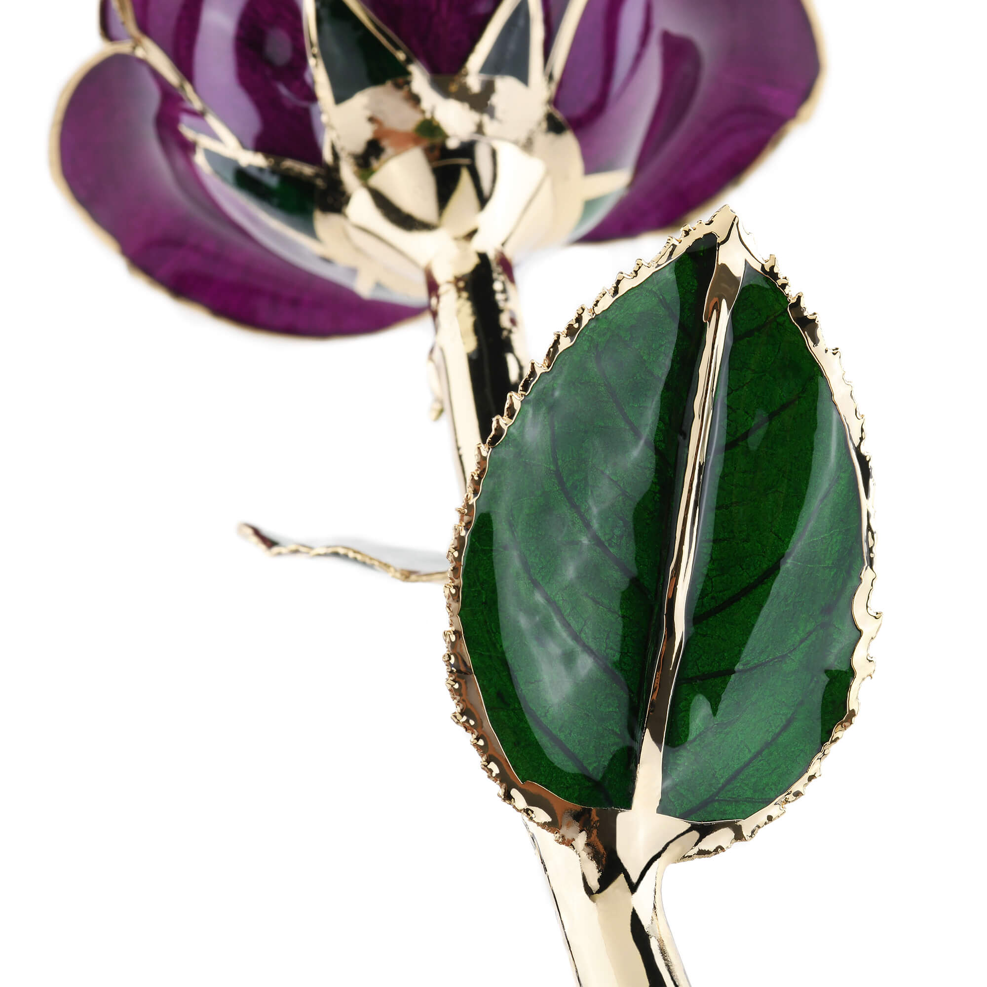 Timeless Rose (Purple)-thumbmail-5