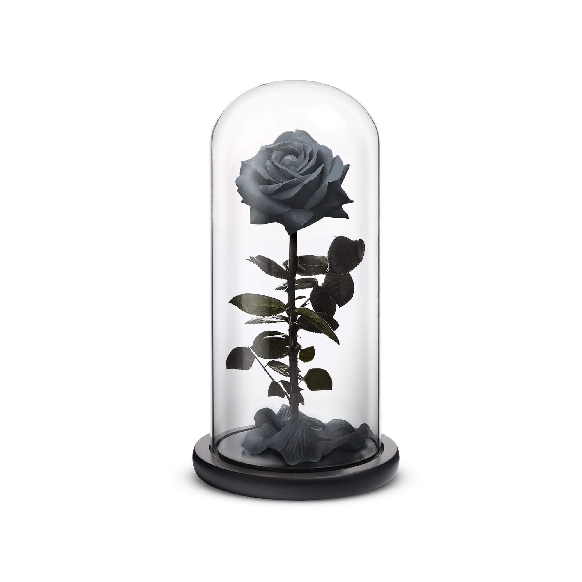 Everlasting Rose (Black)-thumbmail-1
