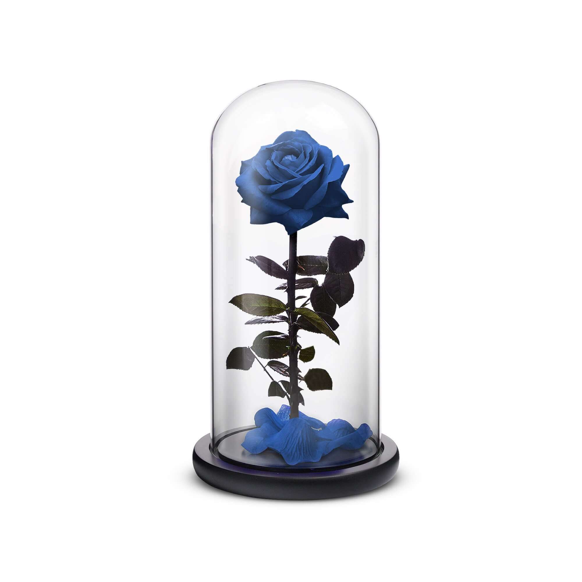 Everlasting Rose (Blue)-thumbmail-1