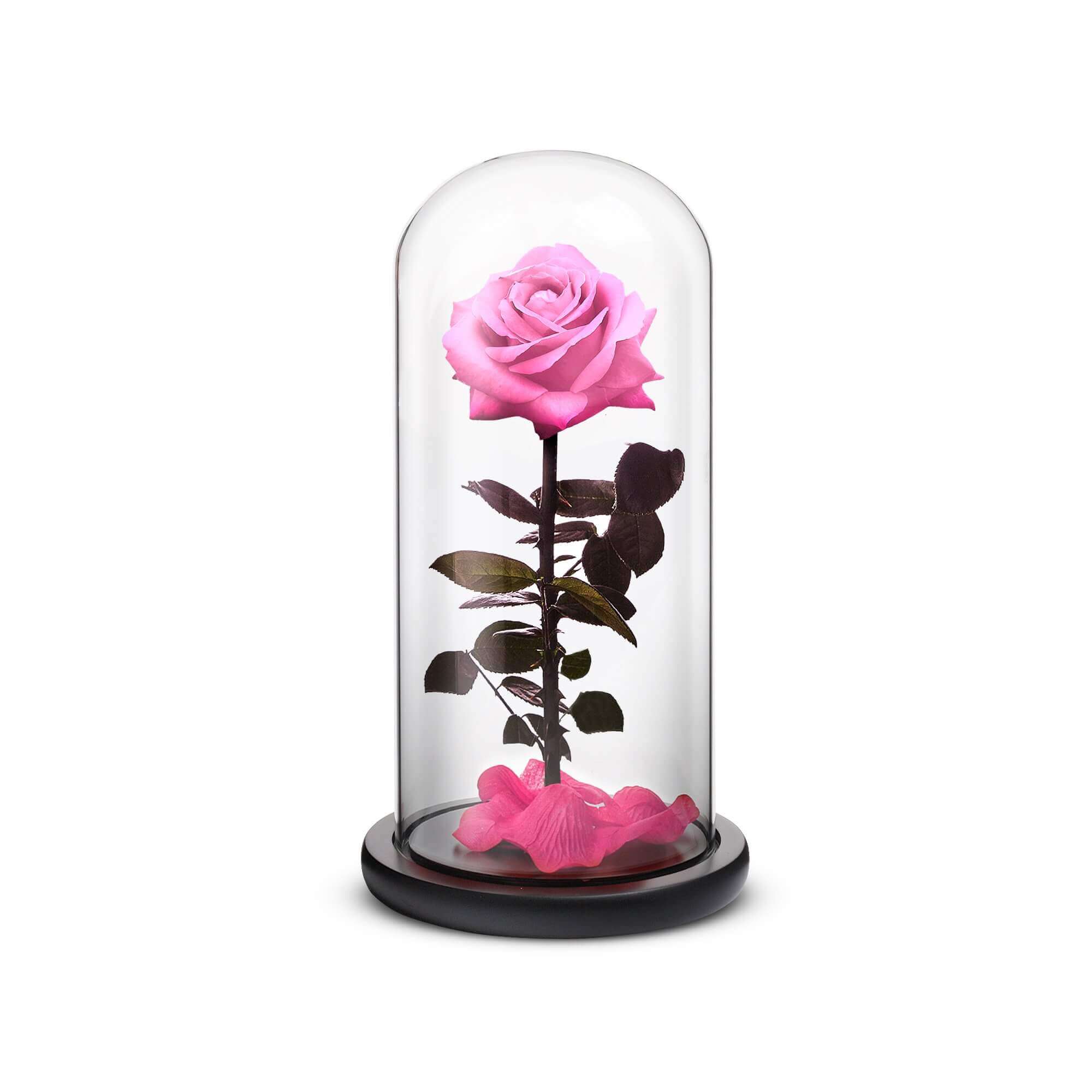 Everlasting Rose (Pink)-thumbmail-1