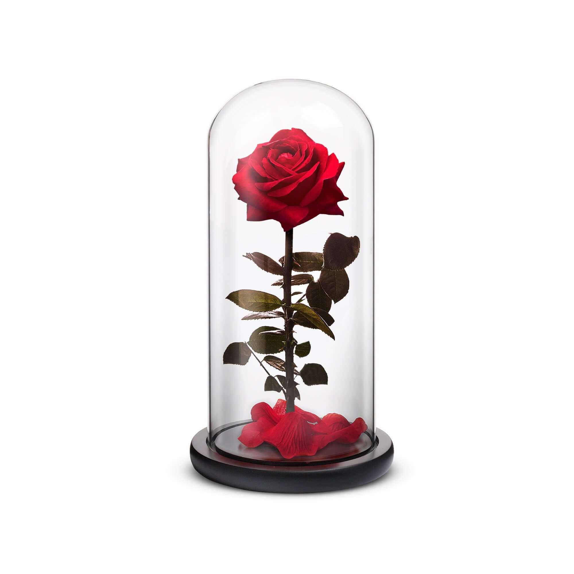 Everlasting Rose (Red)-thumbmail-1