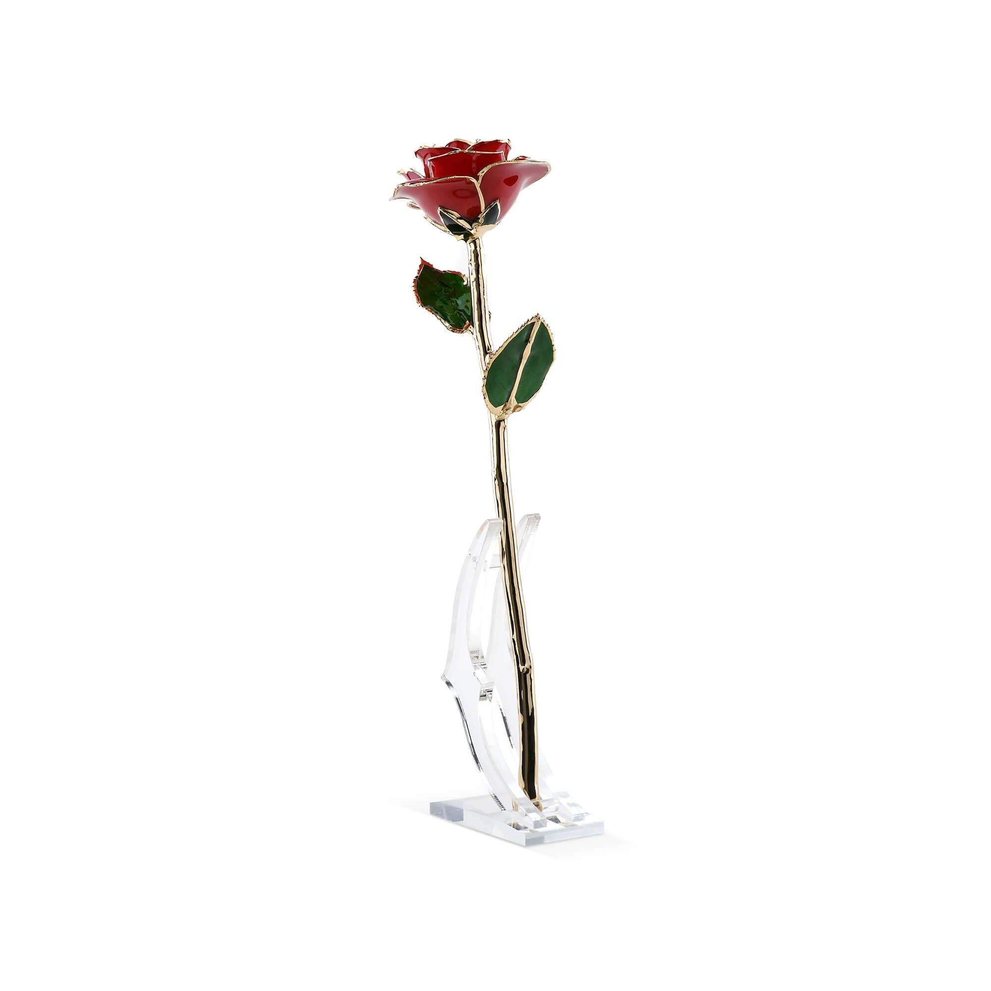 Timeless Rose (Red)-thumbmail-4