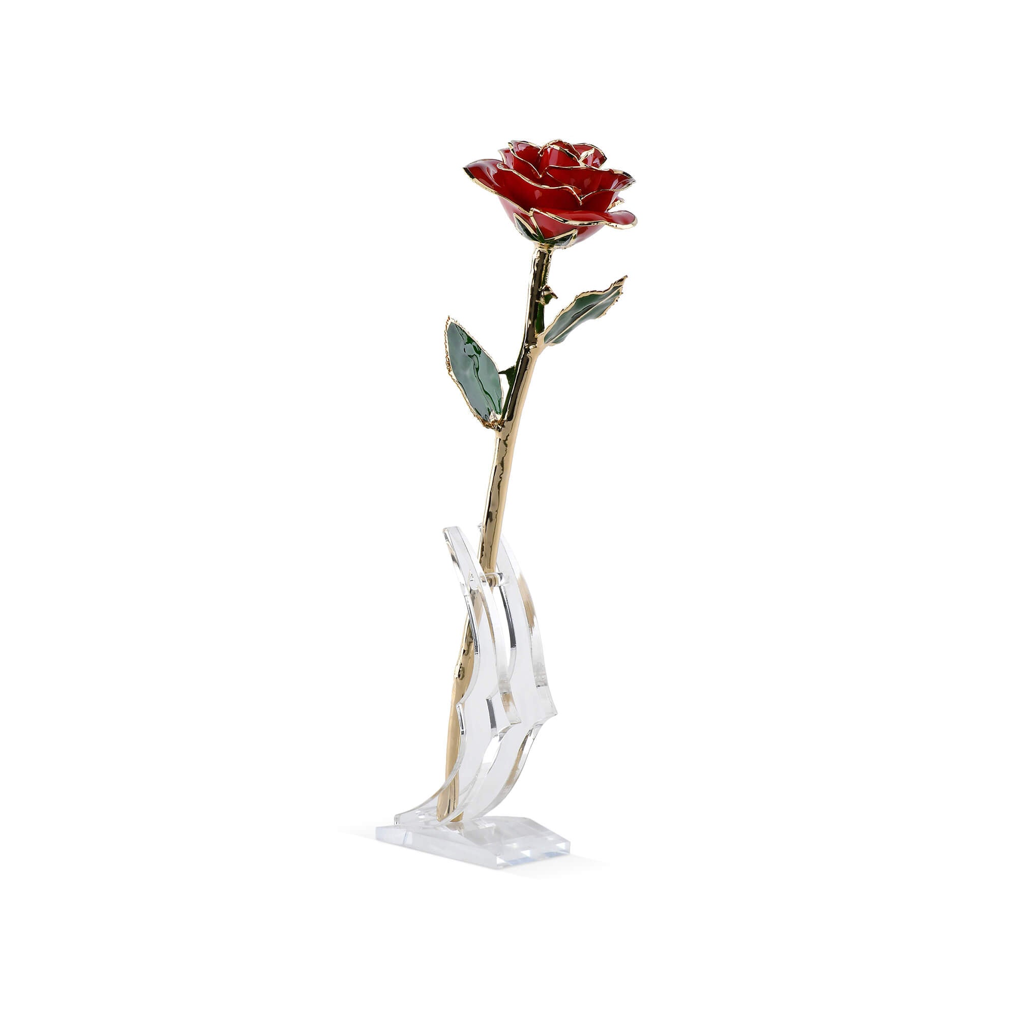 Timeless Rose (Red)-thumbmail-5