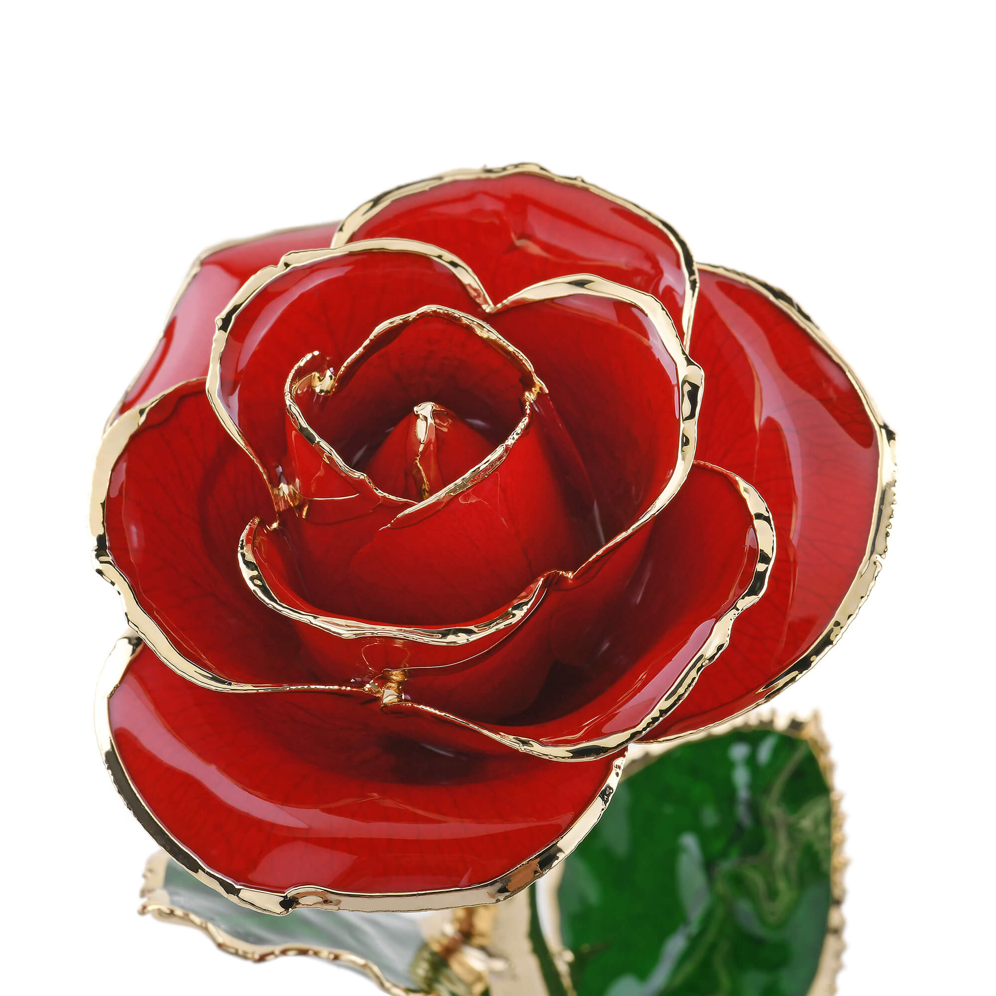 Timeless Rose (Red)-thumbmail-1