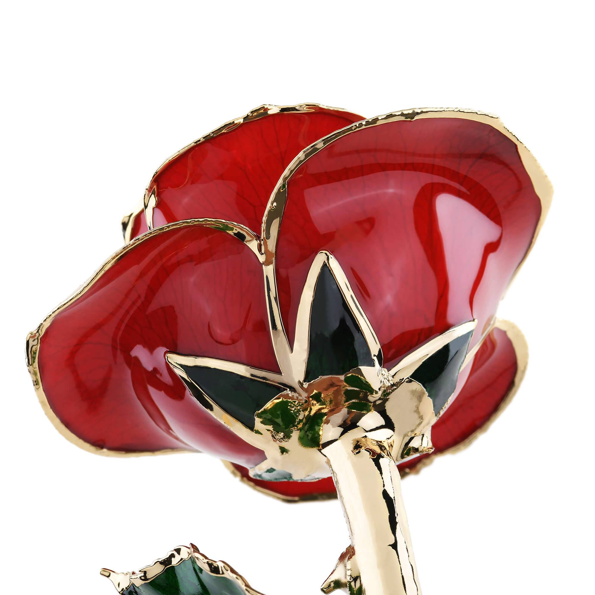 Timeless Rose (Red)-thumbmail-2