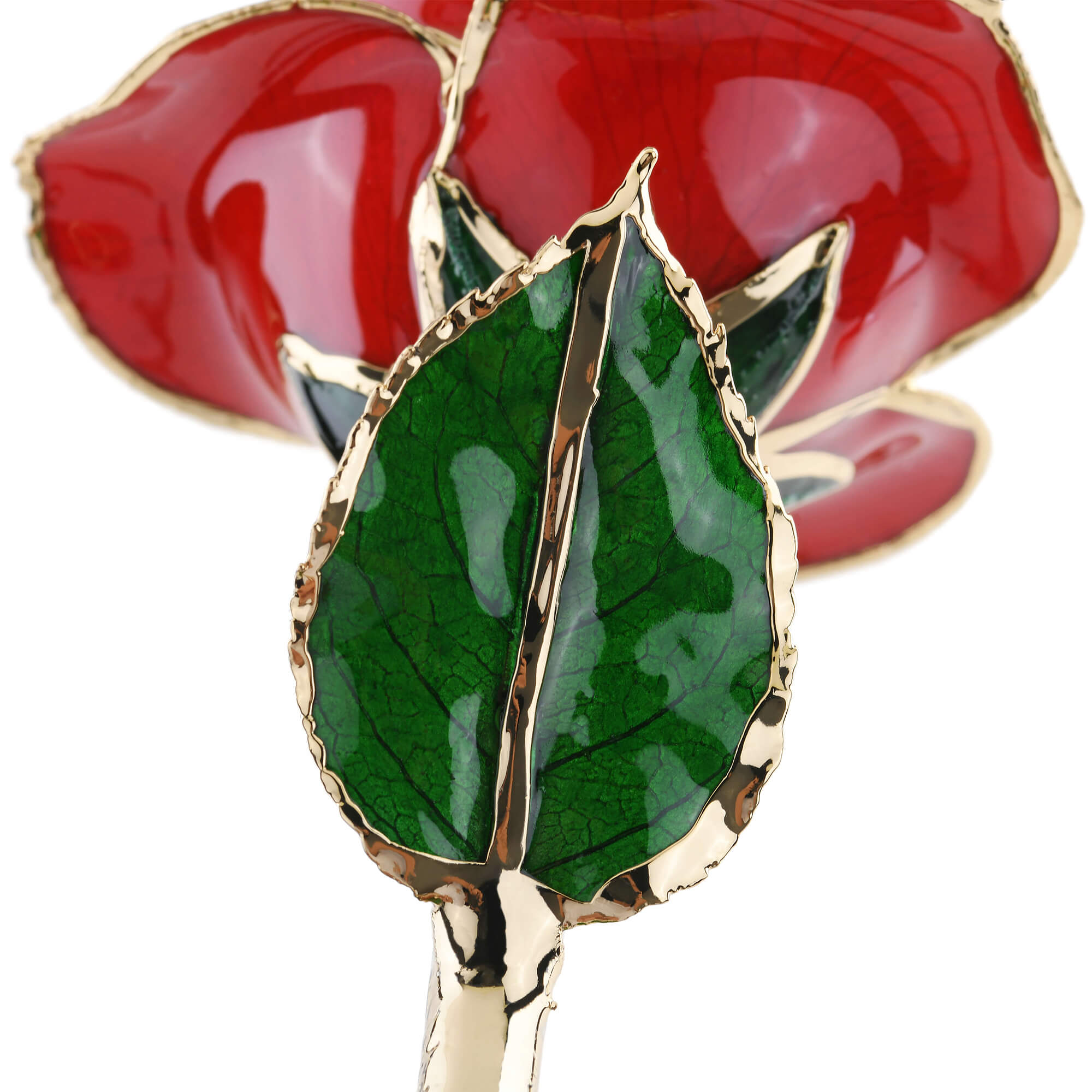 Timeless Rose (Red)-thumbmail-3