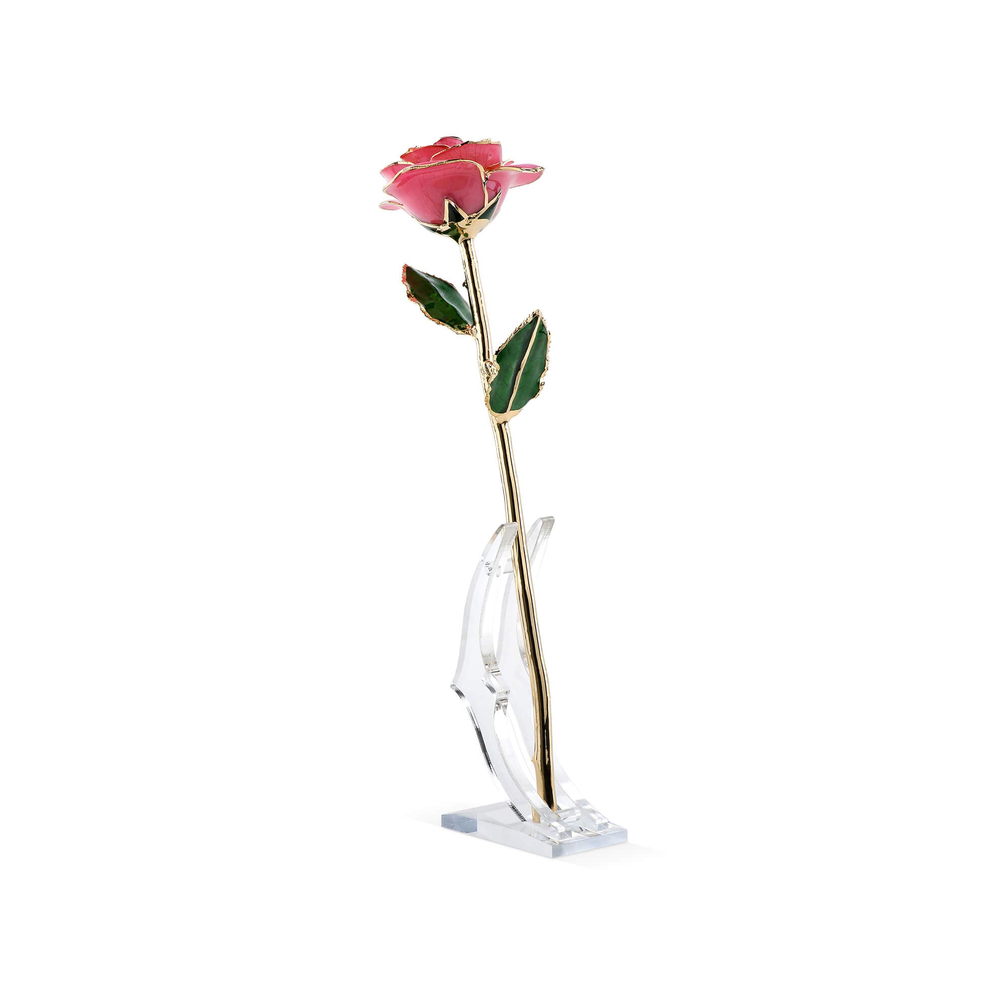 Timeless Rose (Rich Pink)-thumbmail-1
