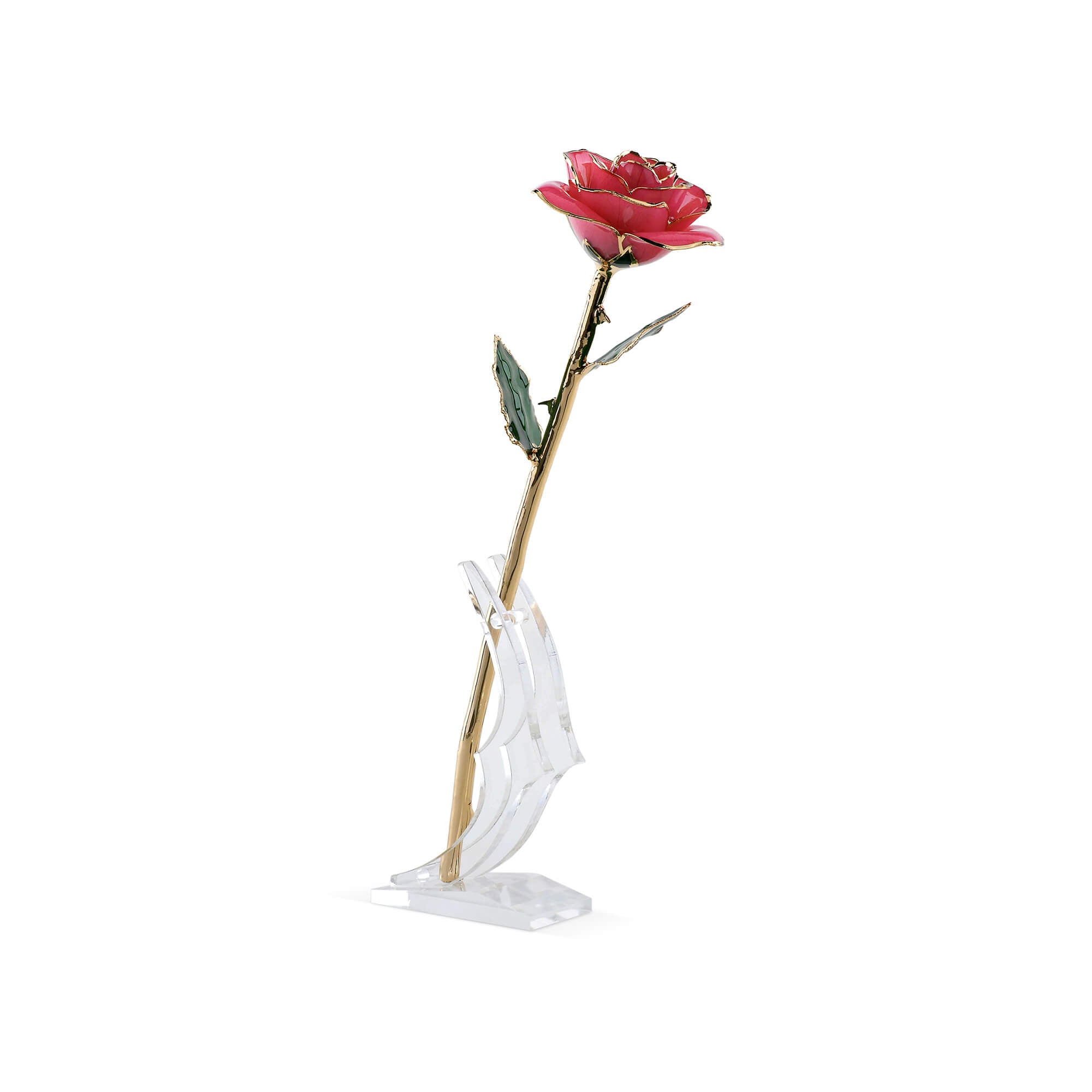 Timeless Rose (Rich Pink)-thumbmail-3