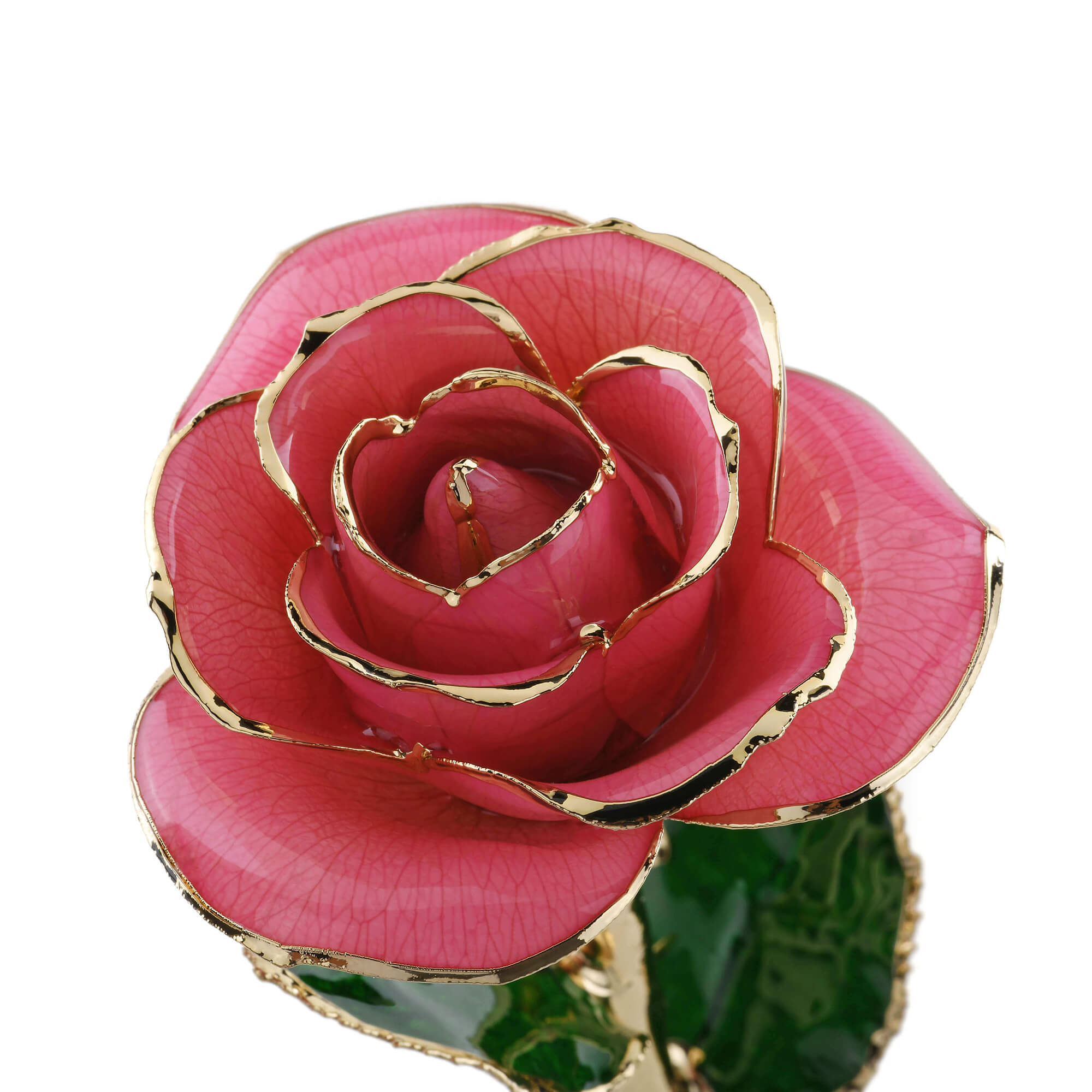 Timeless Rose (Rich Pink)-thumbmail-2