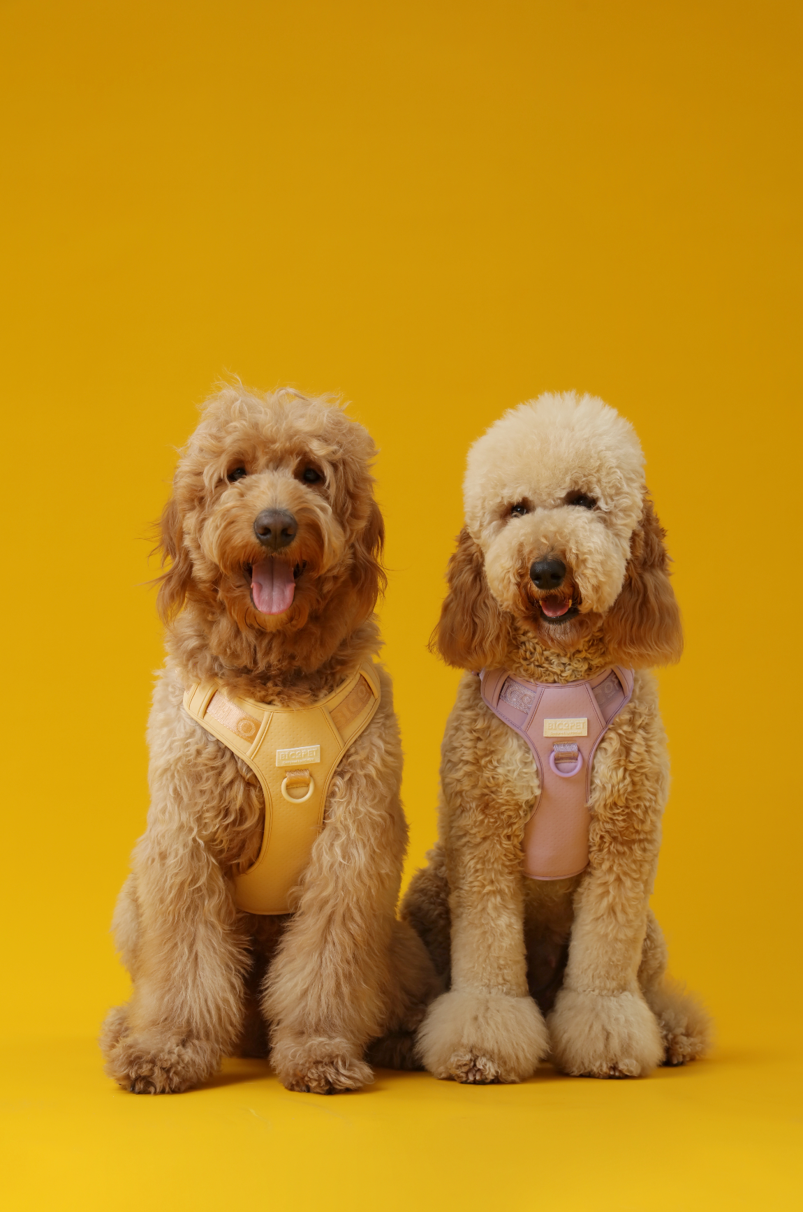 NO PULL ACTIVE  PET HARNESS - APRICOT-thumbmail-8