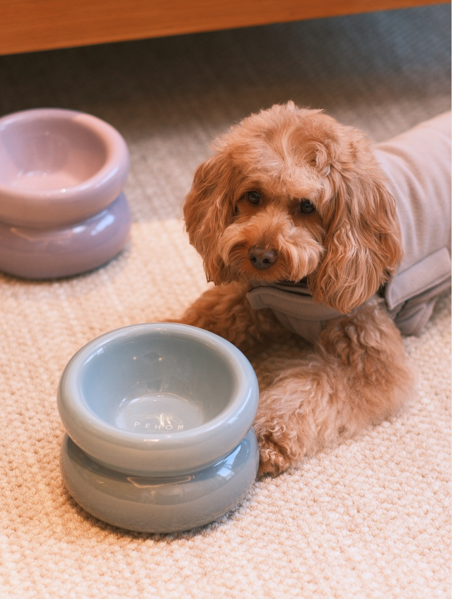 Soufflé Pet Bowl - Frozen Blue-thumbmail-8