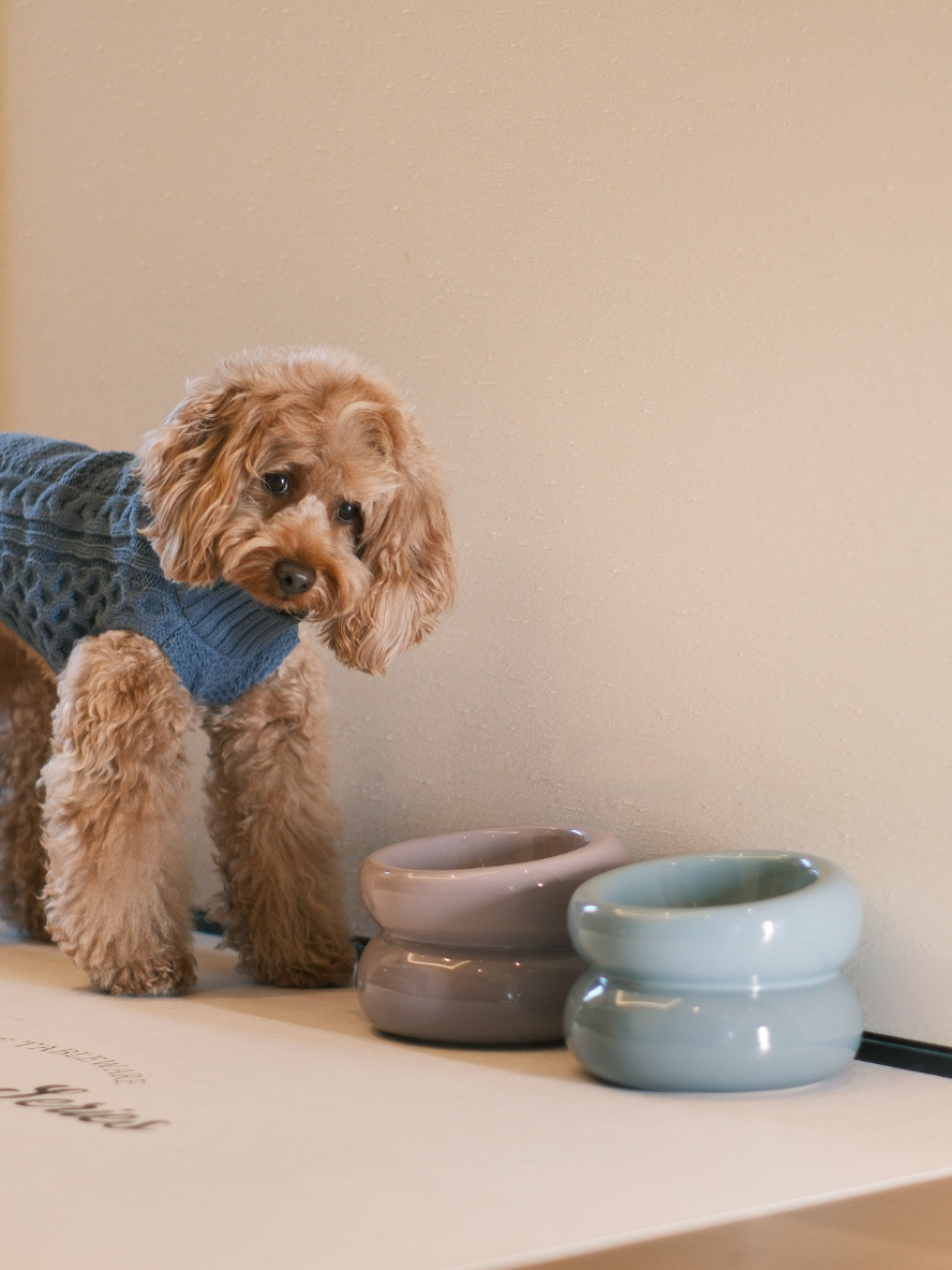 Soufflé Pet Bowl - Frozen Blue-thumbmail-2