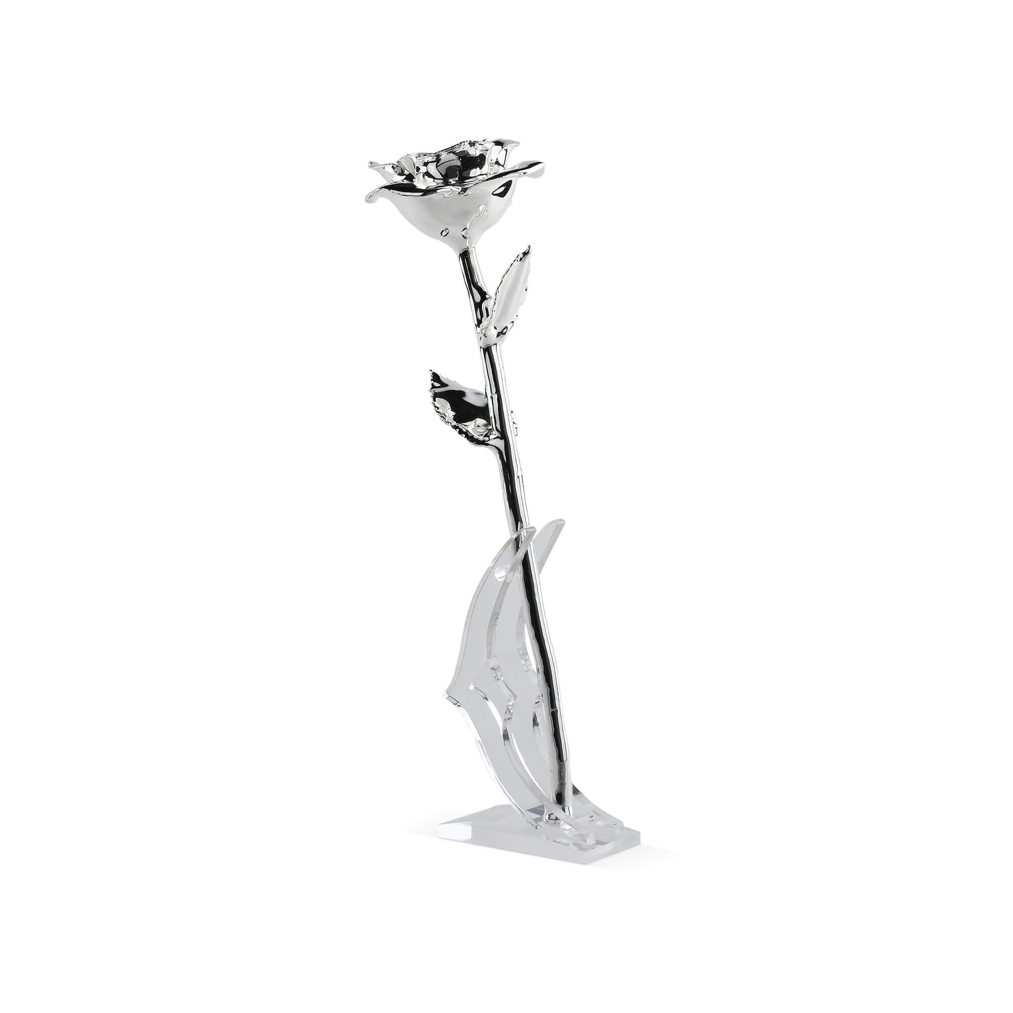 Timeless Rose (Silver)-thumbmail-4