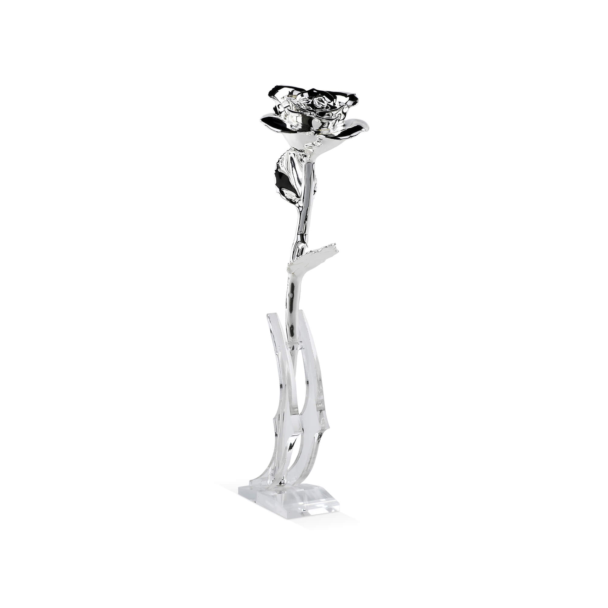 Timeless Rose (Silver)-thumbmail-3