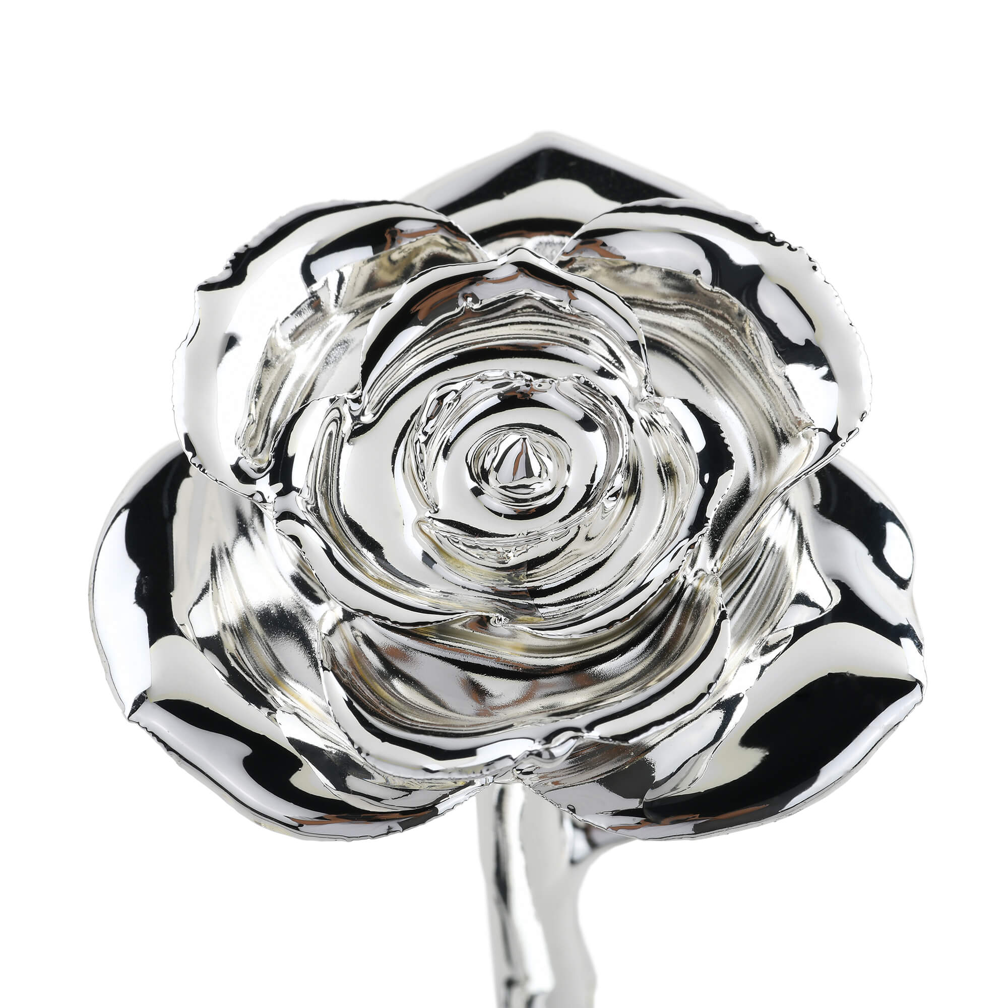 Timeless Rose (Silver)-thumbmail-5
