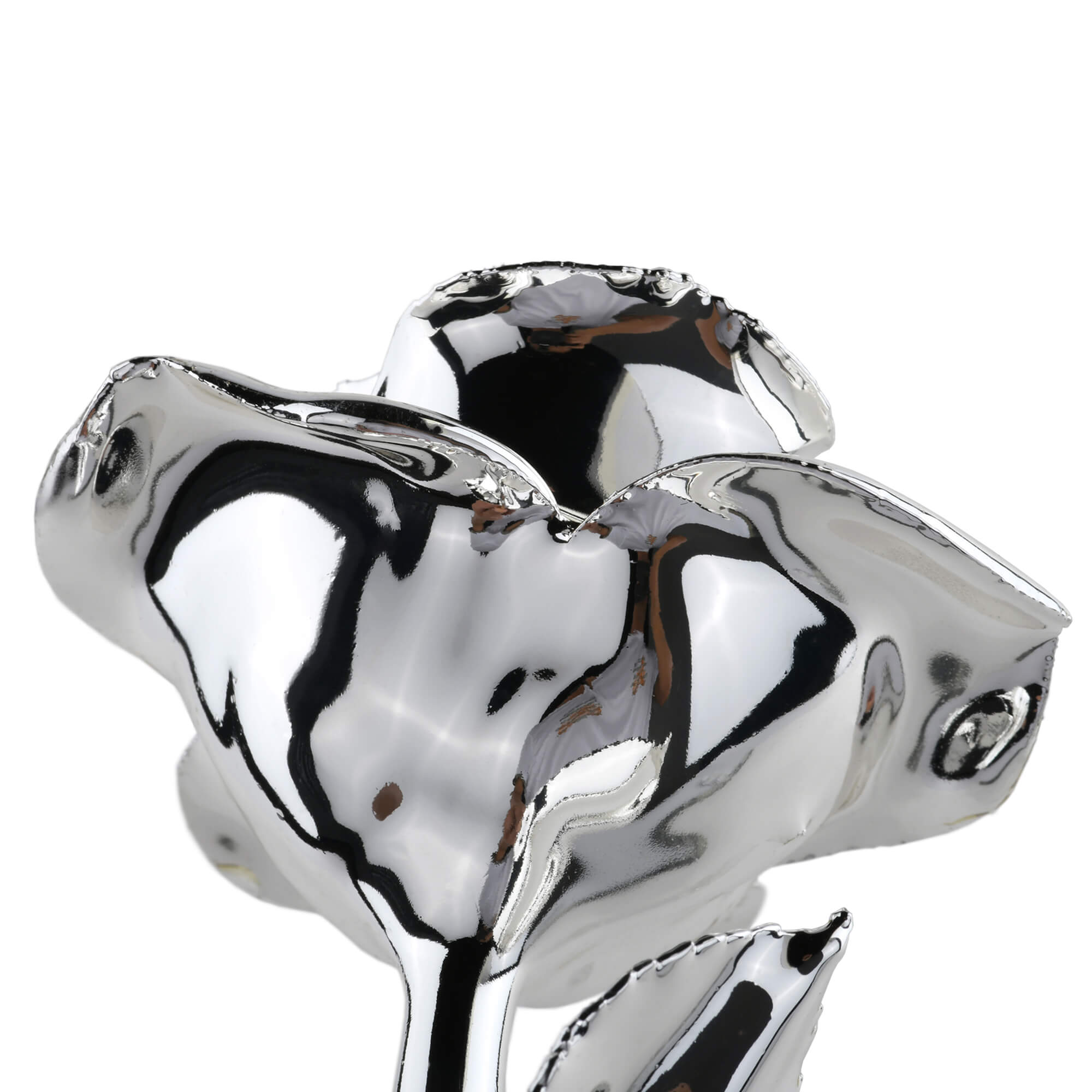 Timeless Rose (Silver)-thumbmail-1
