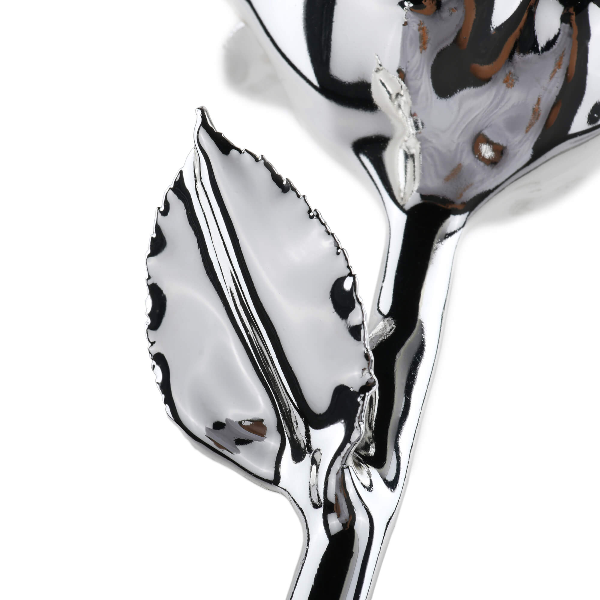Timeless Rose (Silver)-thumbmail-2